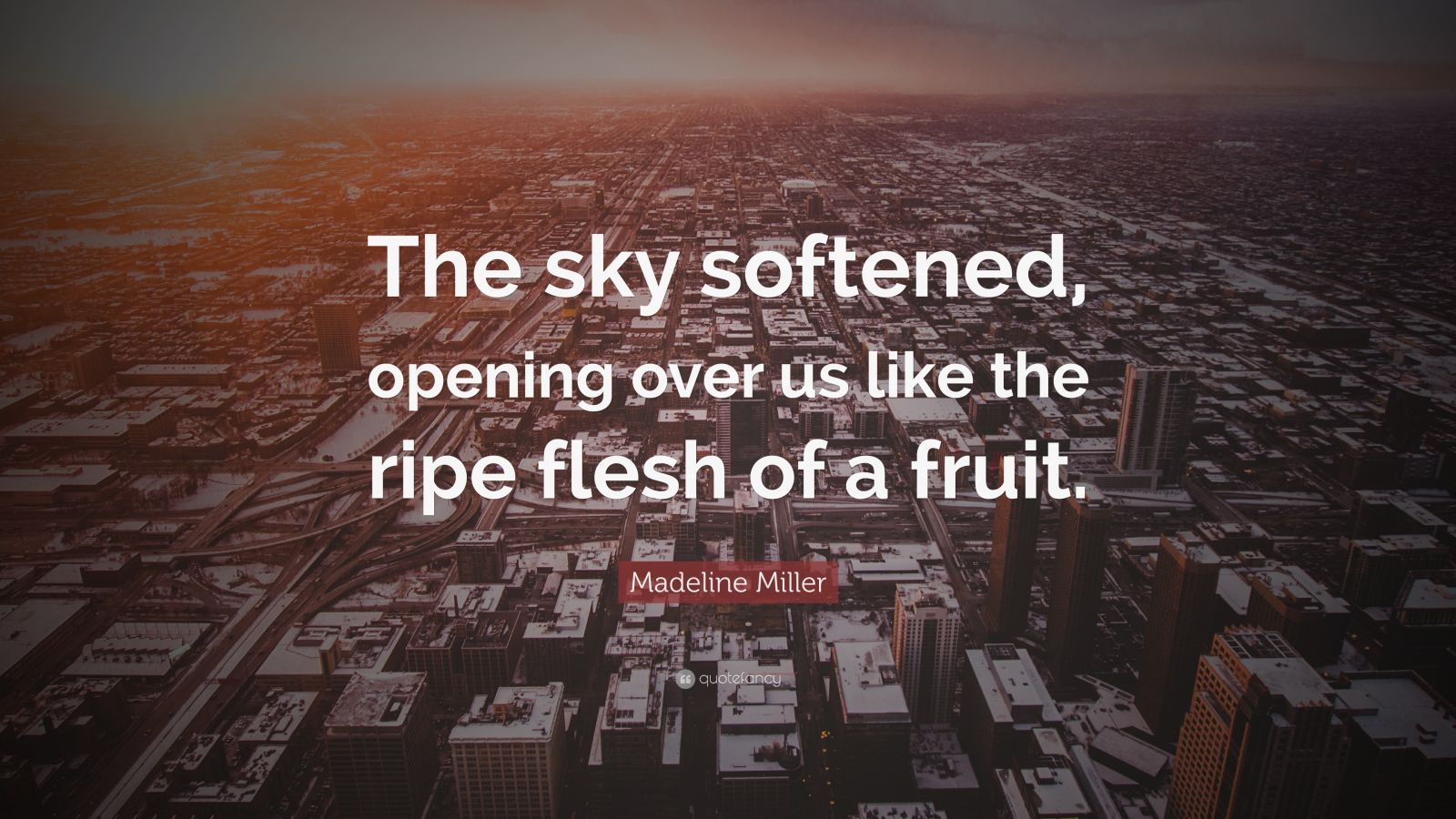 Madeline Miller Quote The Sky Softened Opening Over Us Like The Ripe