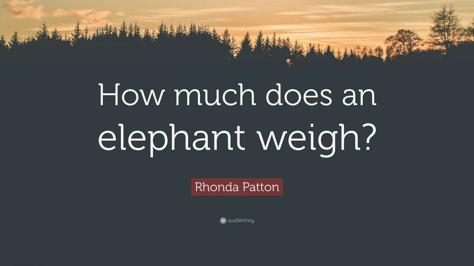 Rhonda Patton Quote “How much does an elephant weigh?”