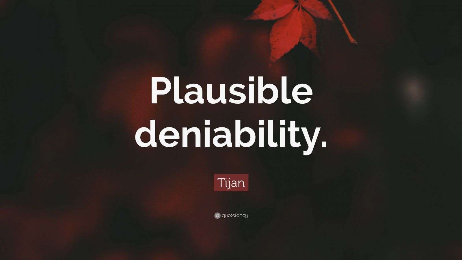 Tijan Quote “Plausible deniability.”