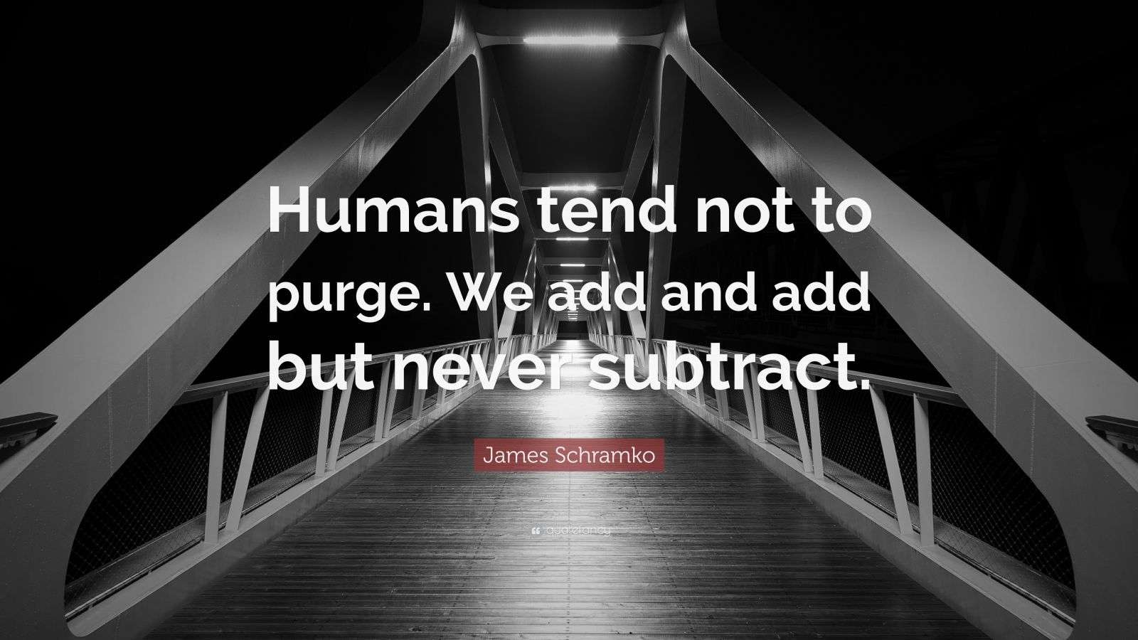 James Schramko Quote “Humans tend not to purge. We add and add but