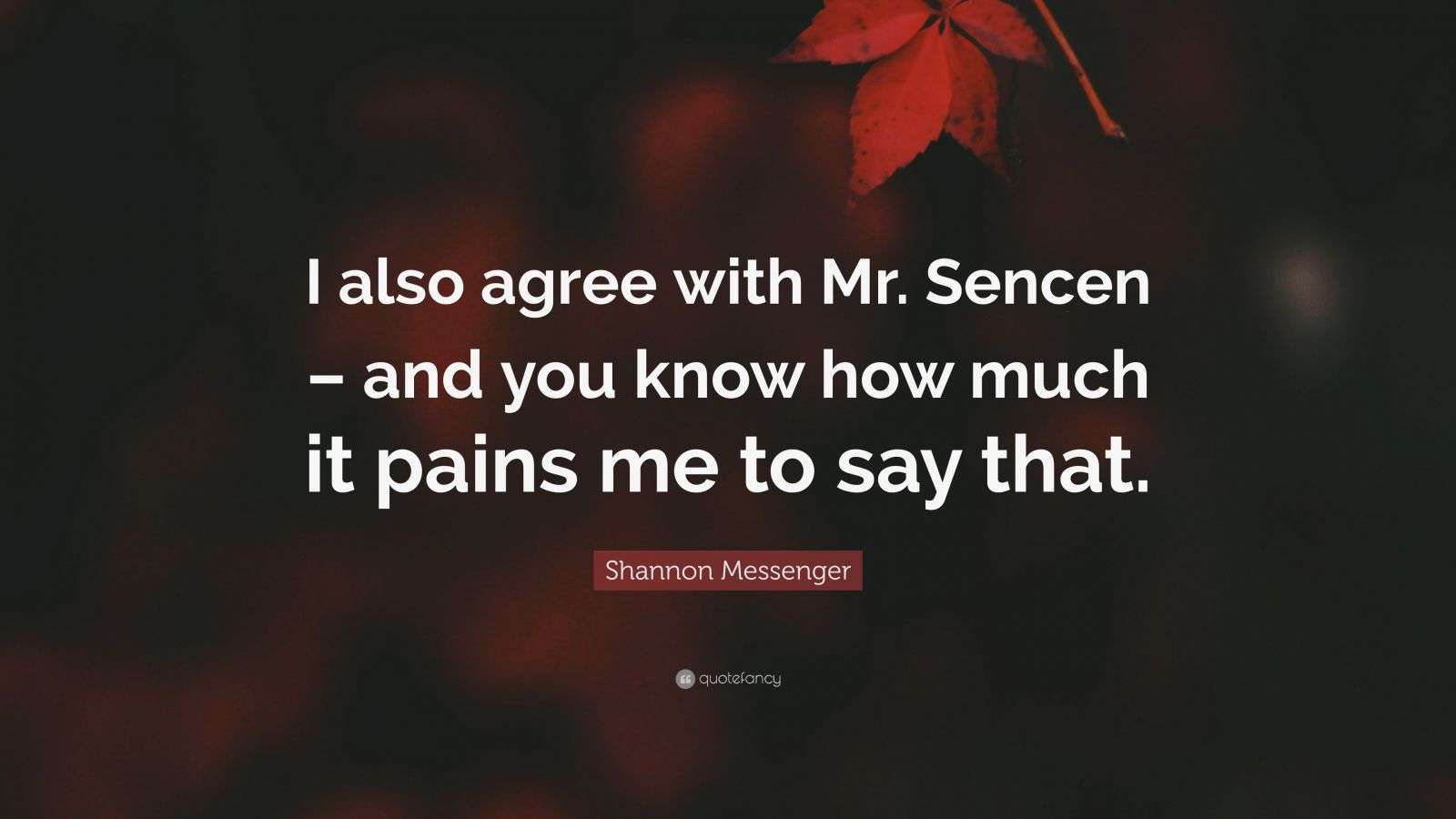 Shannon Messenger Quote “I also agree with Mr. Sencen and you know