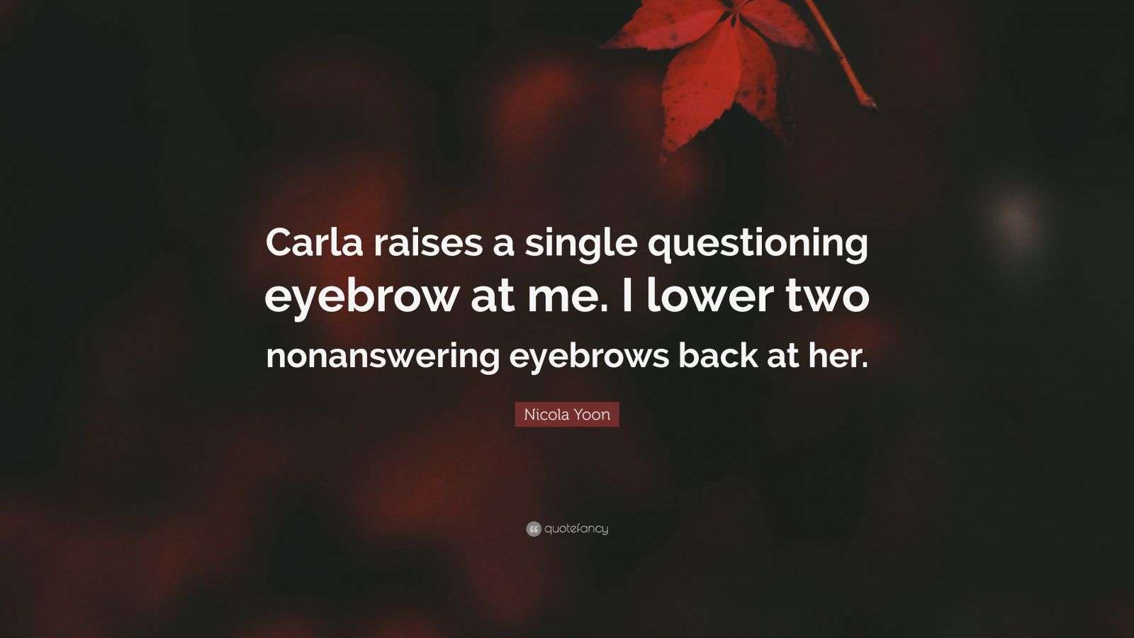 Nicola Yoon Quote “Carla raises a single questioning eyebrow at me. I