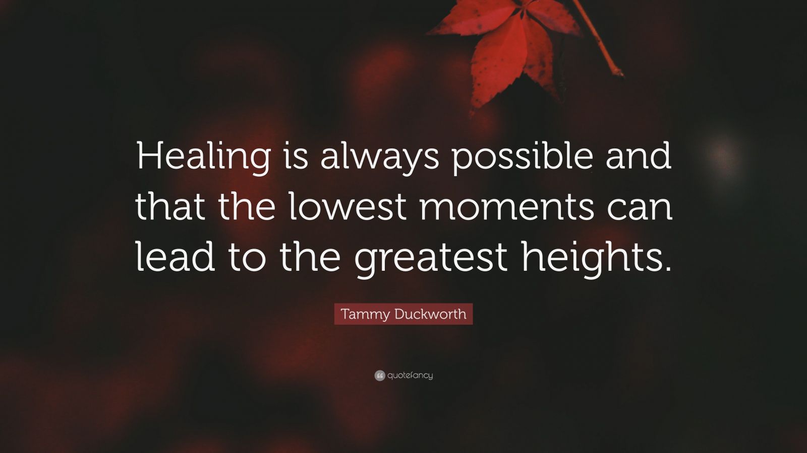 Tammy Duckworth Quote: “Healing is always possible and that the lowest ...