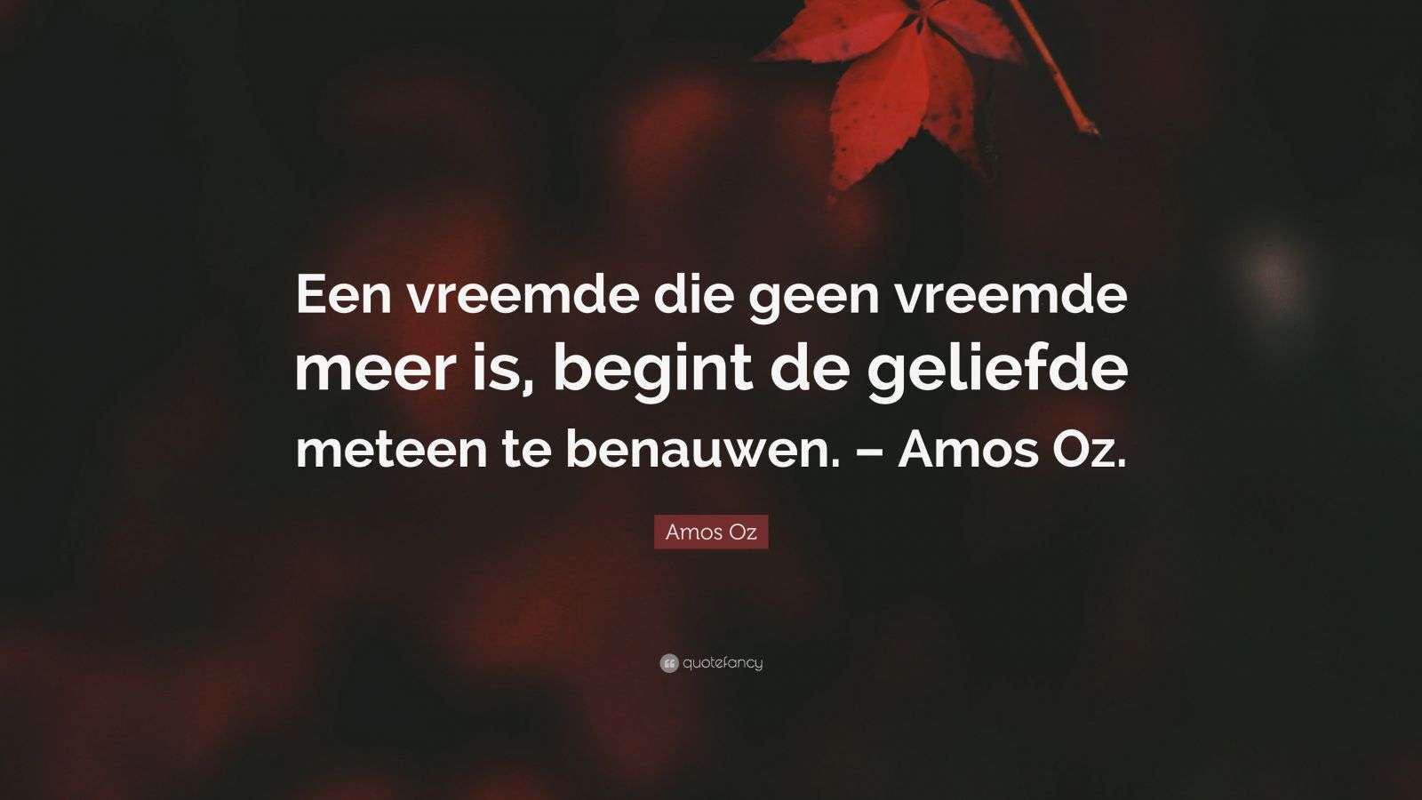Amos Oz Quote: “Een vreemde die geen vreemde meer is, begint de