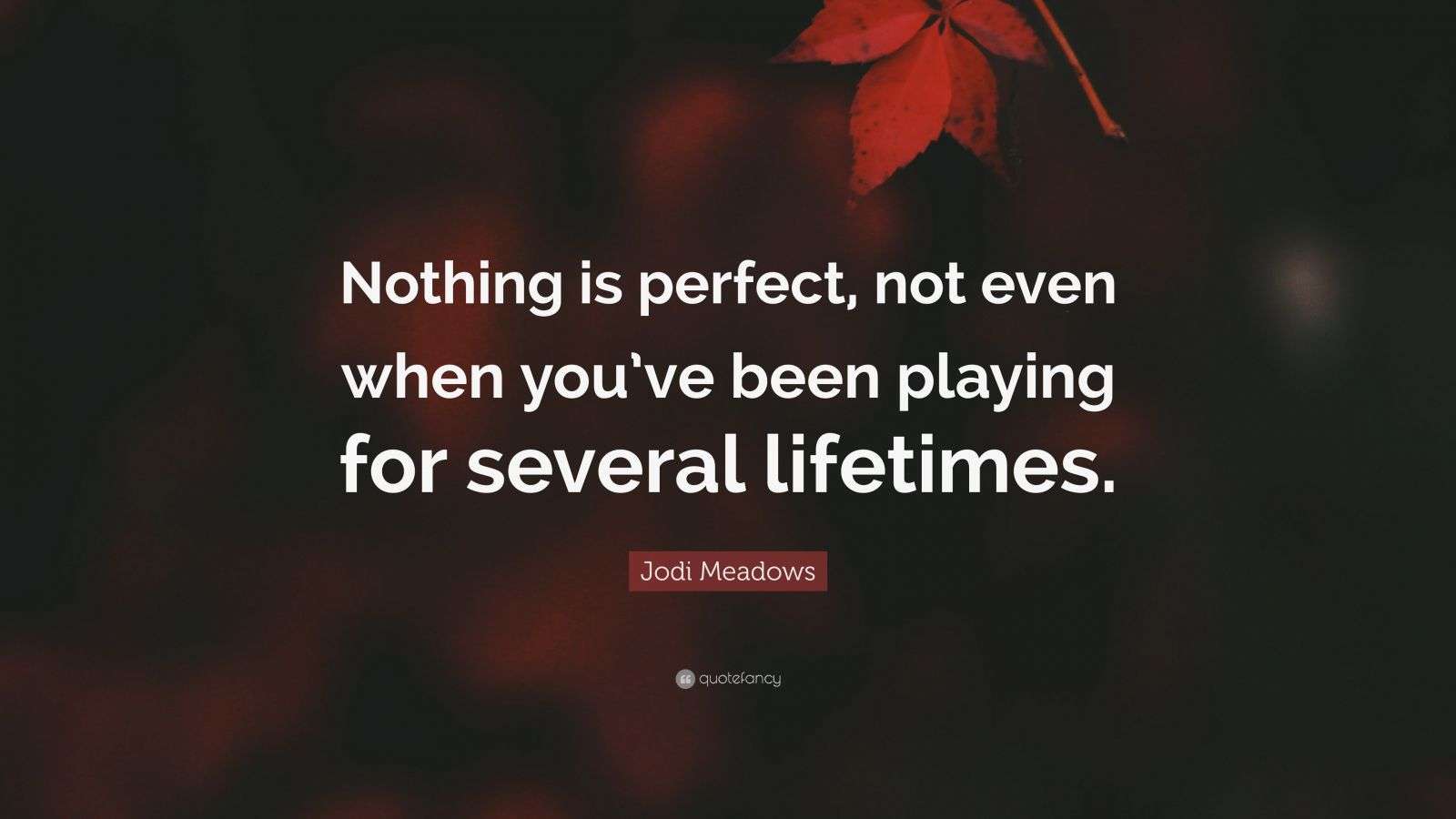 Jodi Meadows Quote “Nothing is perfect, not even when you’ve been