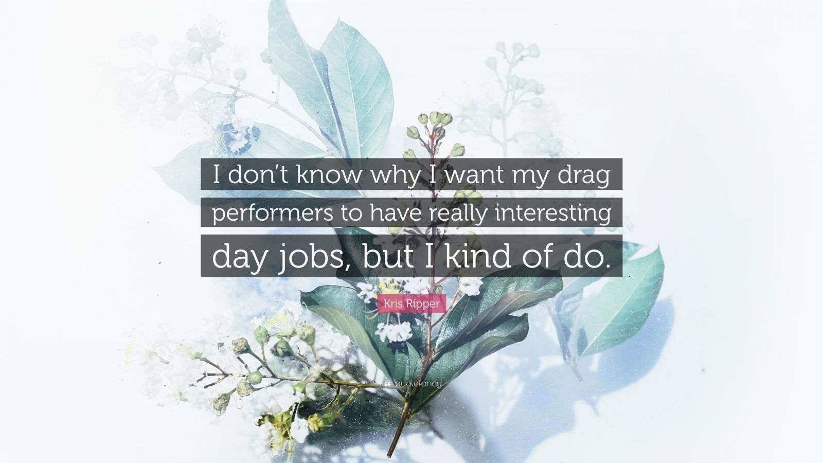 Kris Ripper Quote “I don’t know why I want my drag performers to have