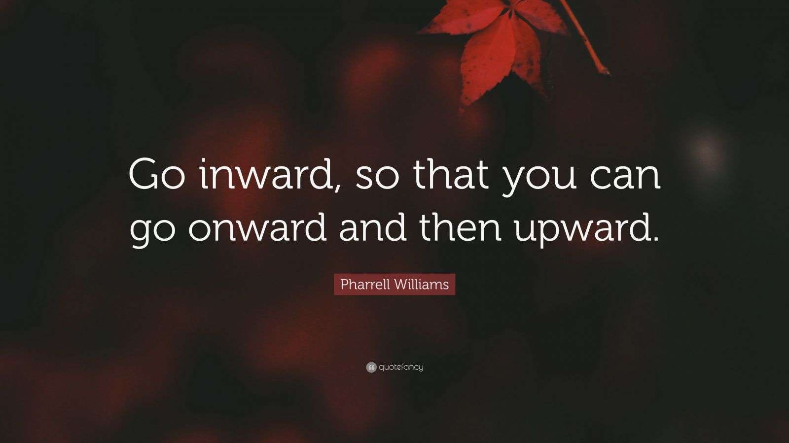 Pharrell Williams Quote: “Go inward, so that you can go onward and then ...