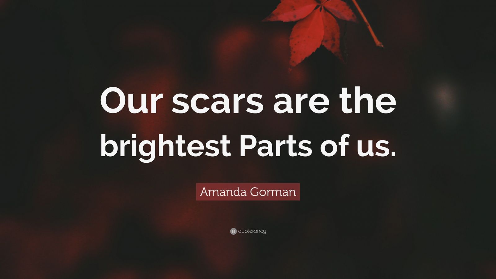 Amanda Gorman Quote “Our scars are the brightest Parts of us.”