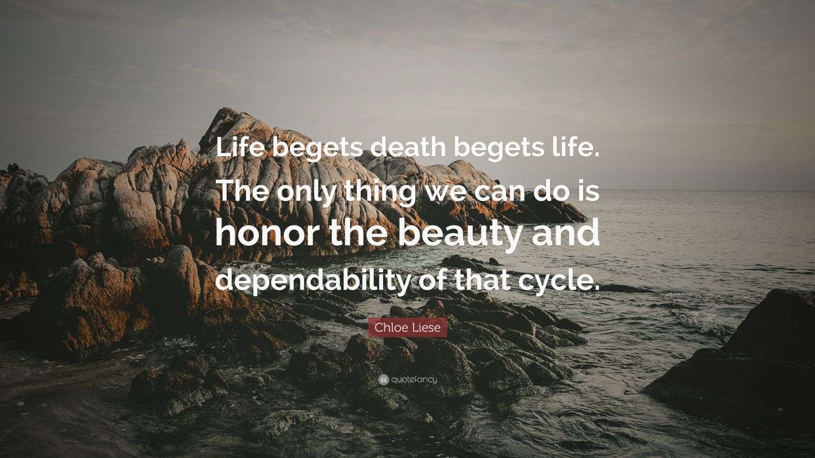 Chloe Liese Quote “Life begets death begets life. The only thing we