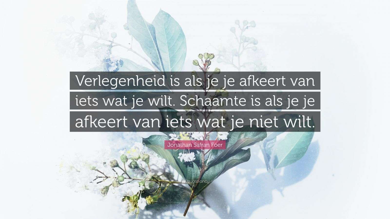 Jonathan Safran Foer Quote: “Verlegenheid is als je je afkeert van iets