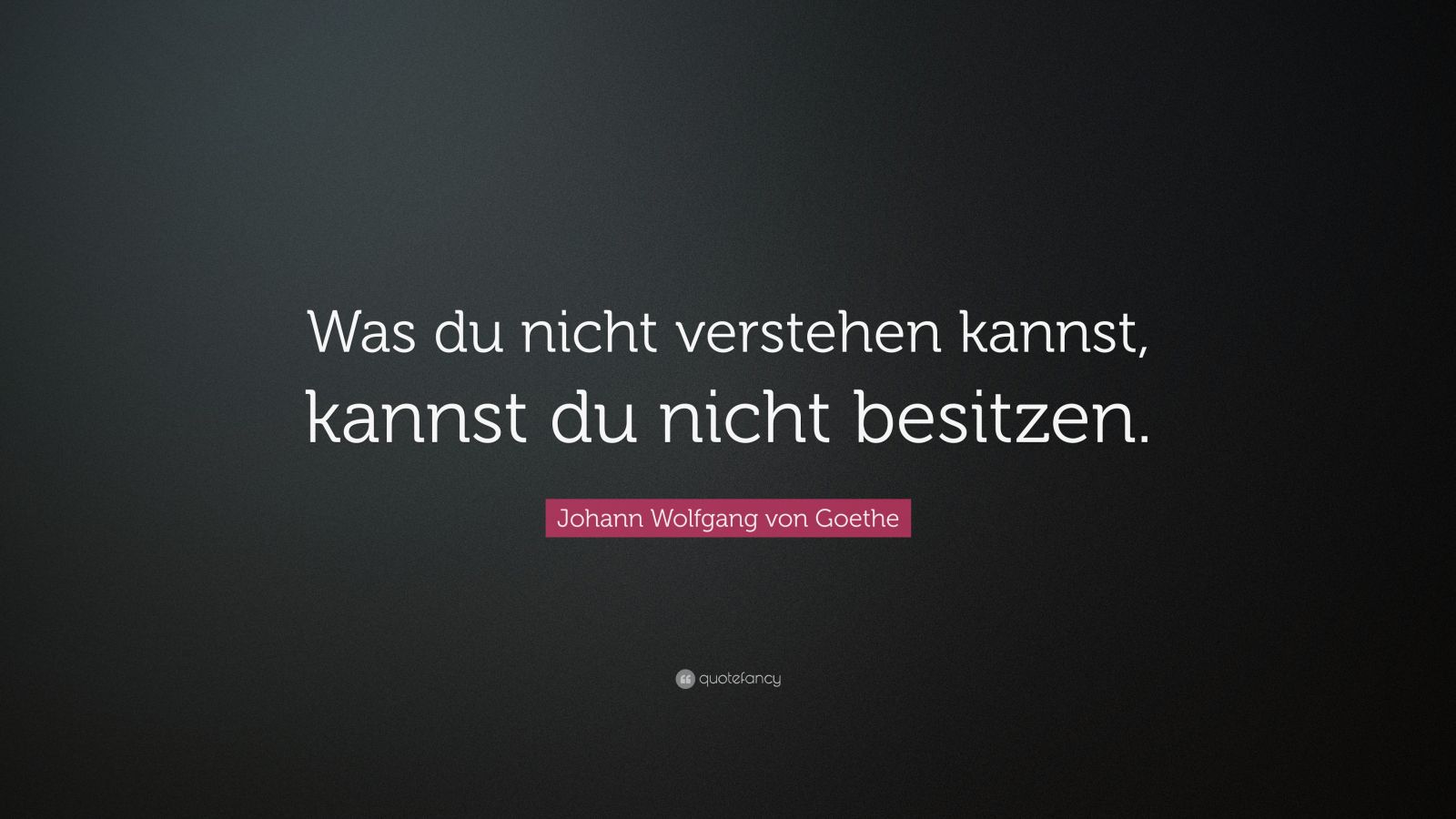 Johann Wolfgang von Goethe Quote: “Was du nicht verstehen kannst ...