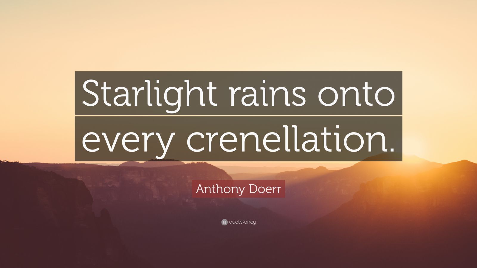 Anthony Doerr Quote: “Starlight rains onto every crenellation.”