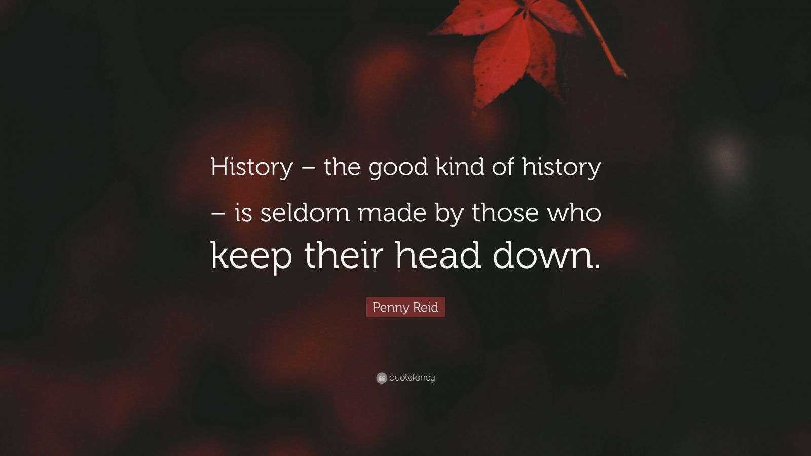 Penny Reid Quote “History the good kind of history is seldom made