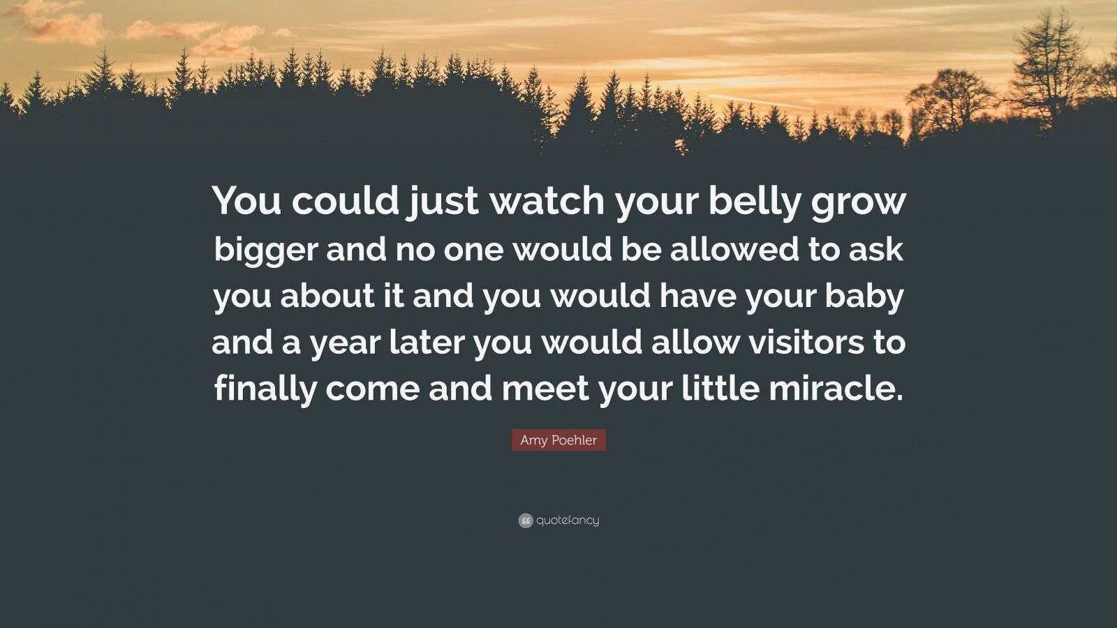 Amy Poehler Quote “You could just watch your belly grow bigger and no
