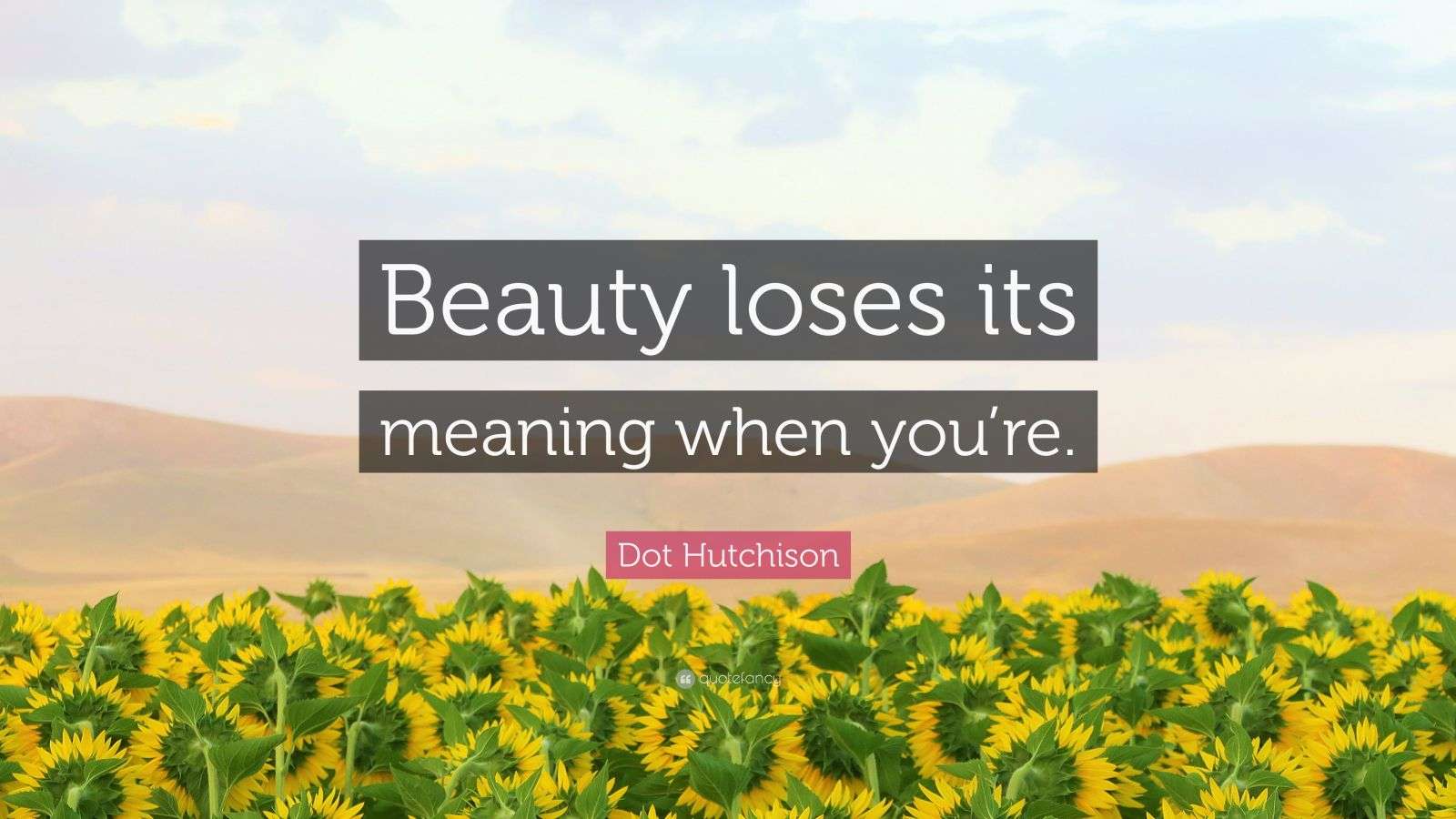Dot Hutchison Quote “Beauty loses its meaning when you’re.”