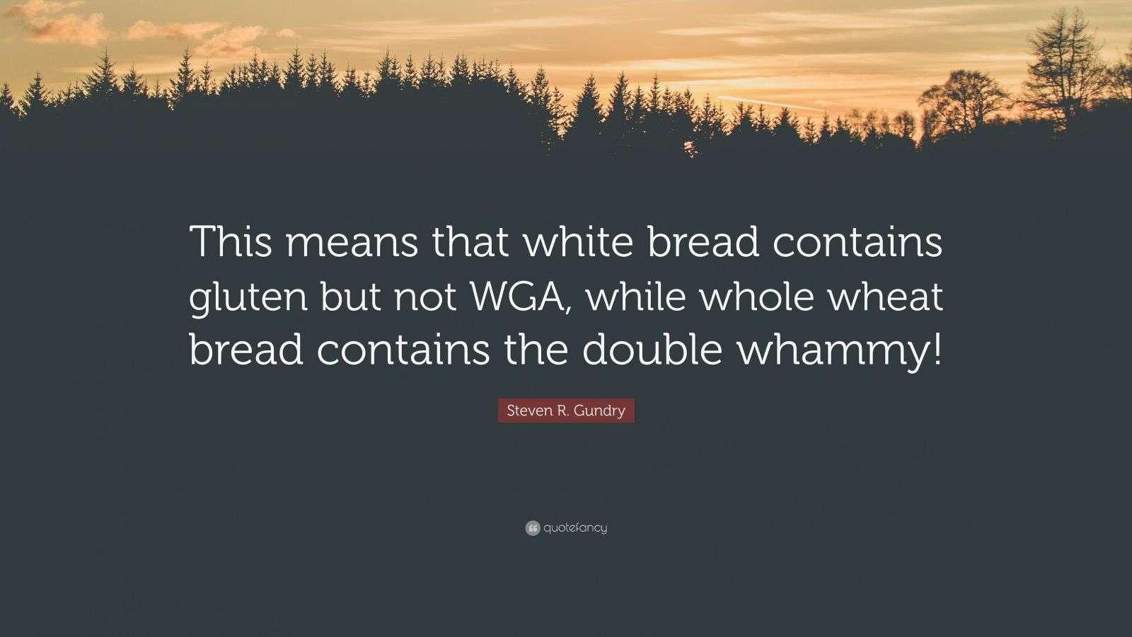 Steven R. Gundry Quote “This means that white bread contains gluten