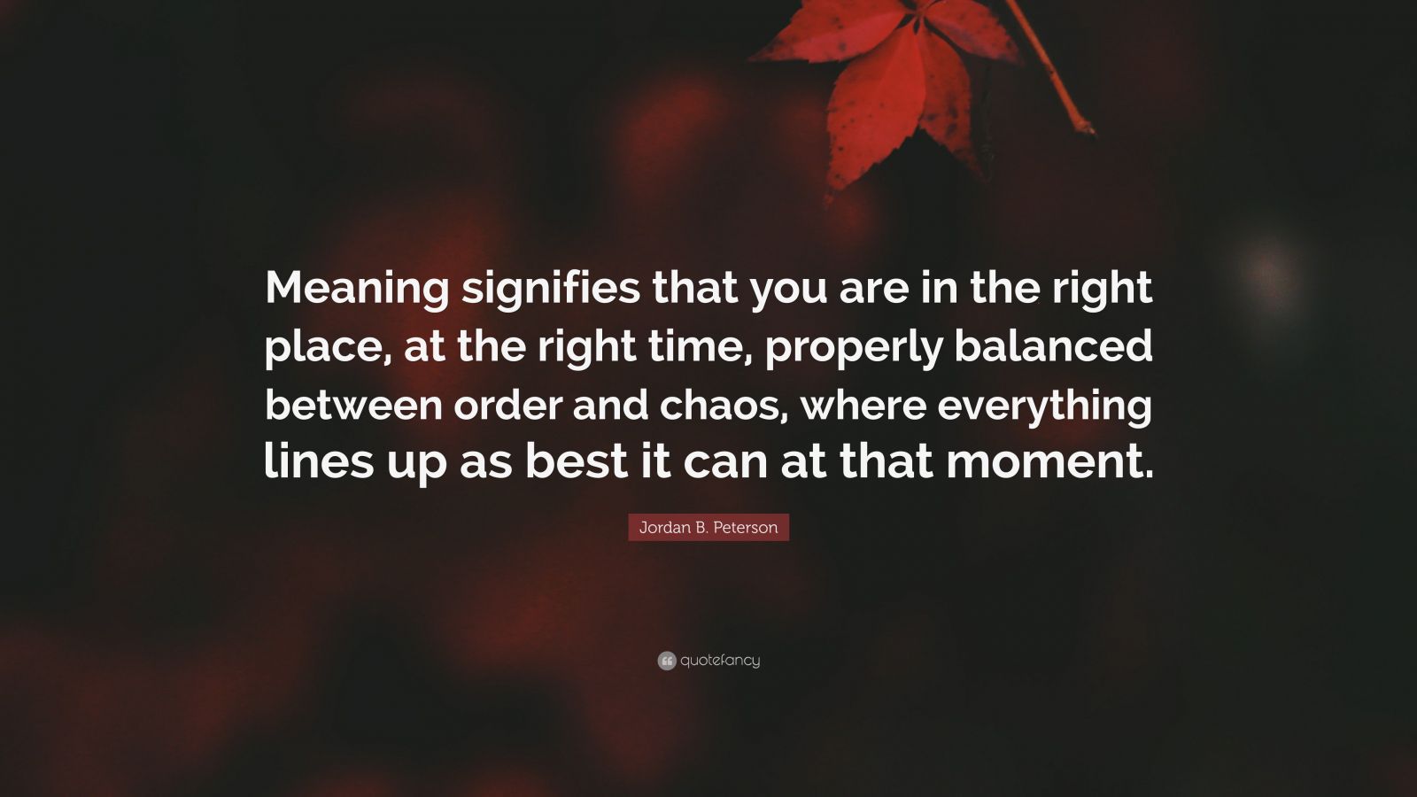 Jordan B. Peterson Quote: “Meaning Signifies That You Are In The Right ...