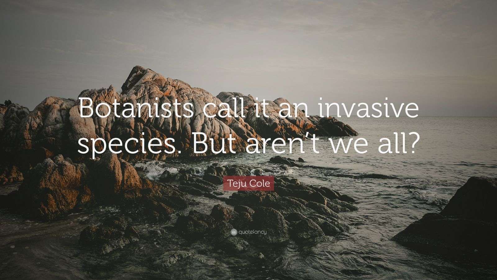 Teju Cole Quote “Botanists call it an invasive species. But