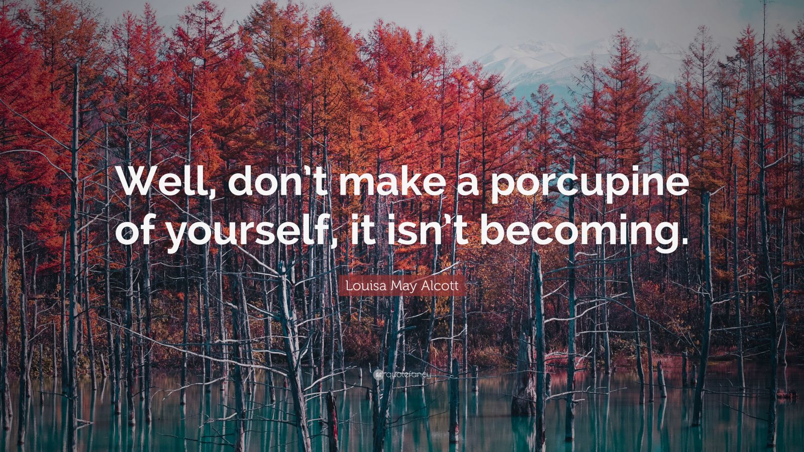 Louisa May Alcott Quote: “Well, don’t make a porcupine of yourself, it ...