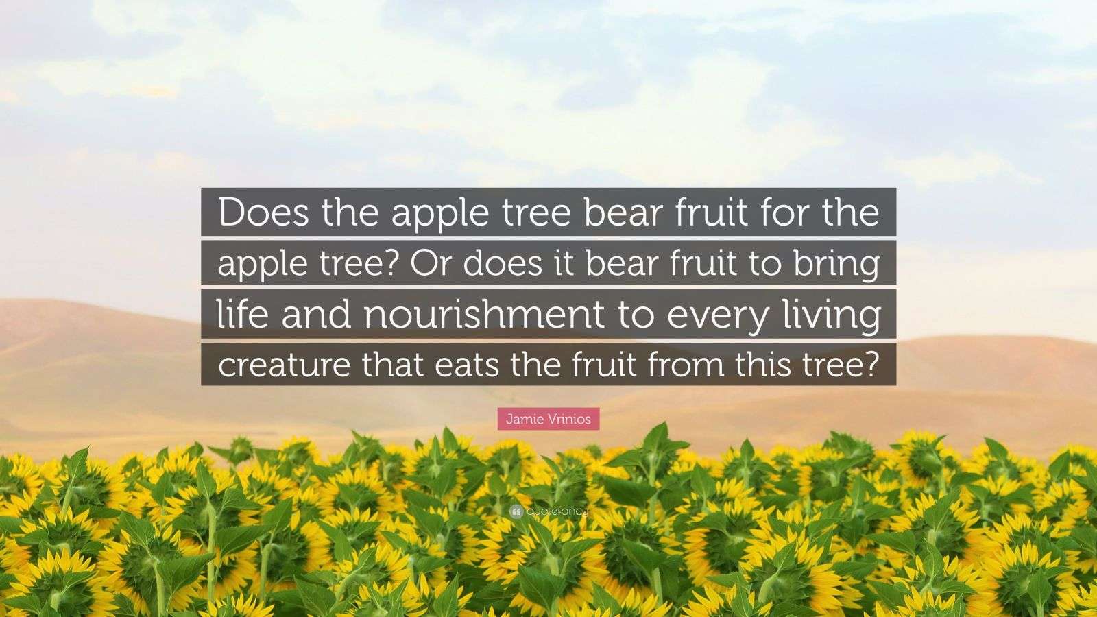 Jamie Vrinios Quote “Does the apple tree bear fruit for the apple tree