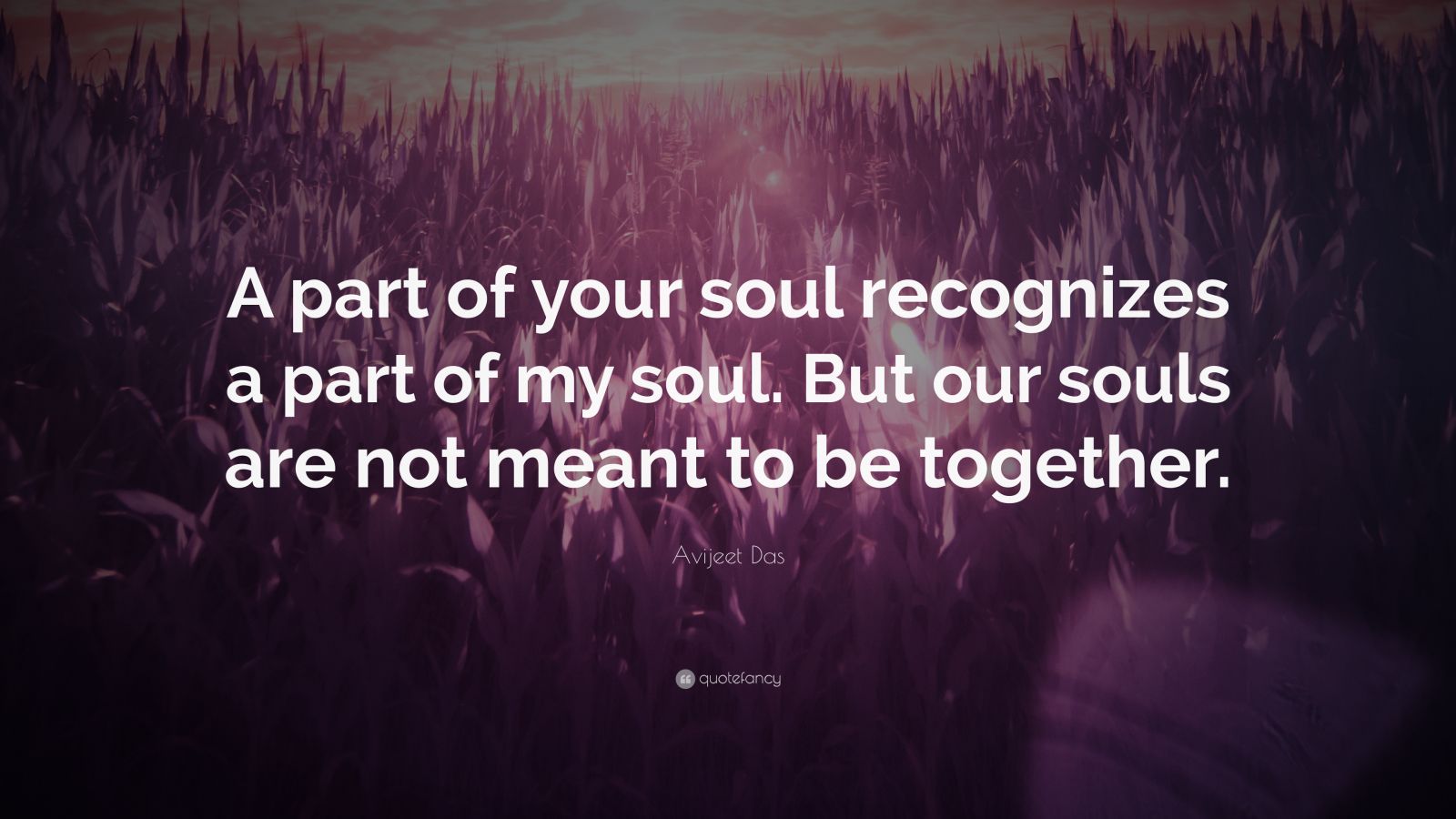 Avijeet Das Quote: “A part of your soul recognizes a part of my soul ...