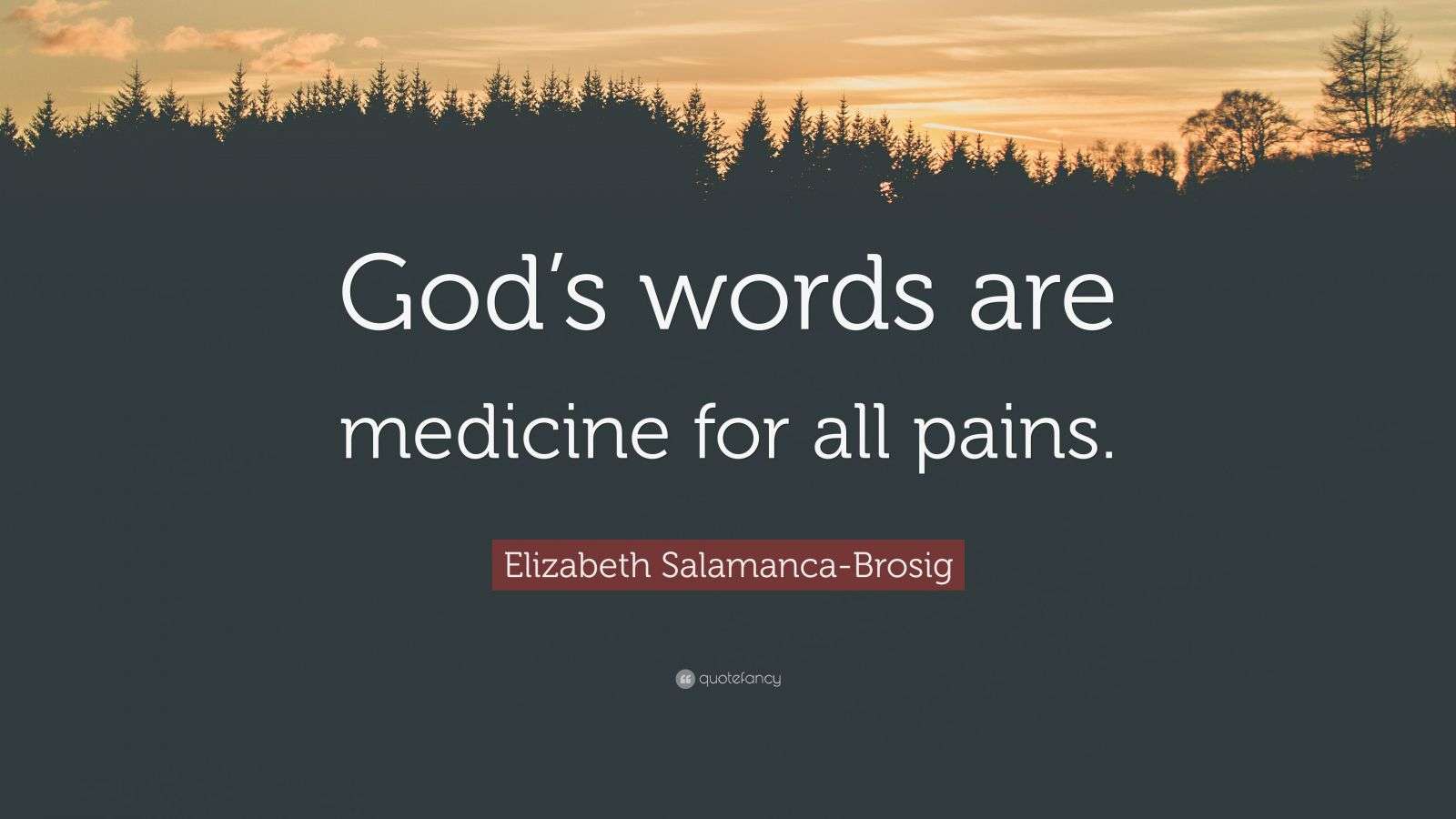 Elizabeth SalamancaBrosig Quote “God’s words are medicine for all pains.”