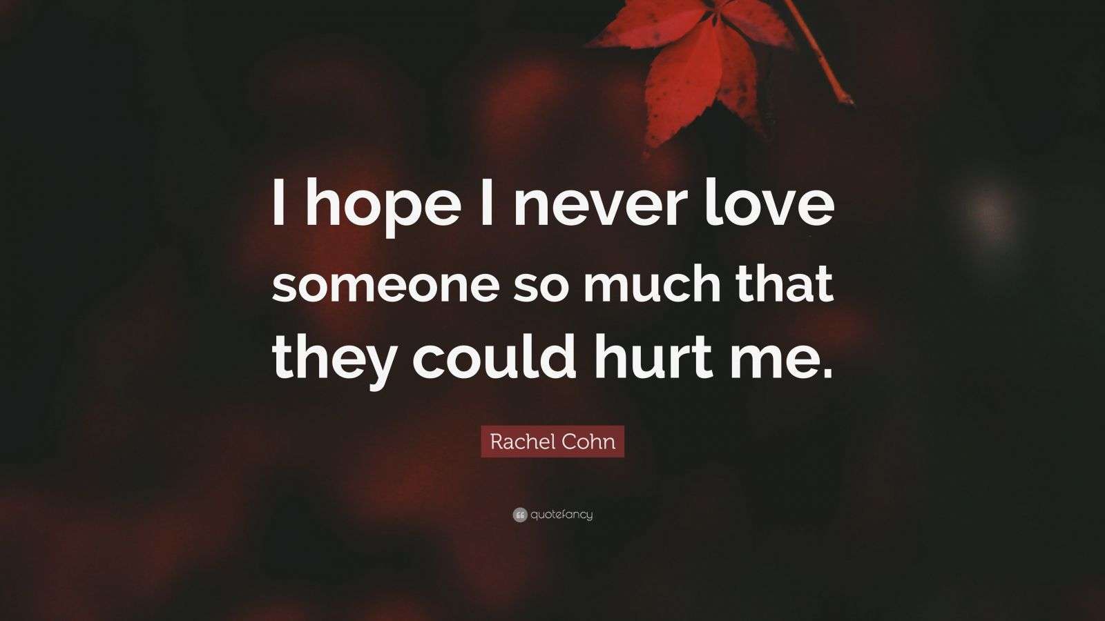 Rachel Cohn Quote: “I hope I never love someone so much that they could ...