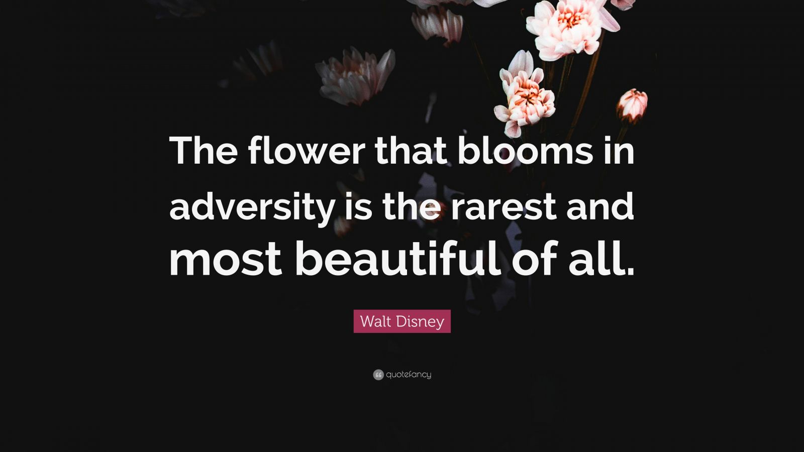 Walt Disney Quote: “The flower that blooms in adversity is the rarest ...