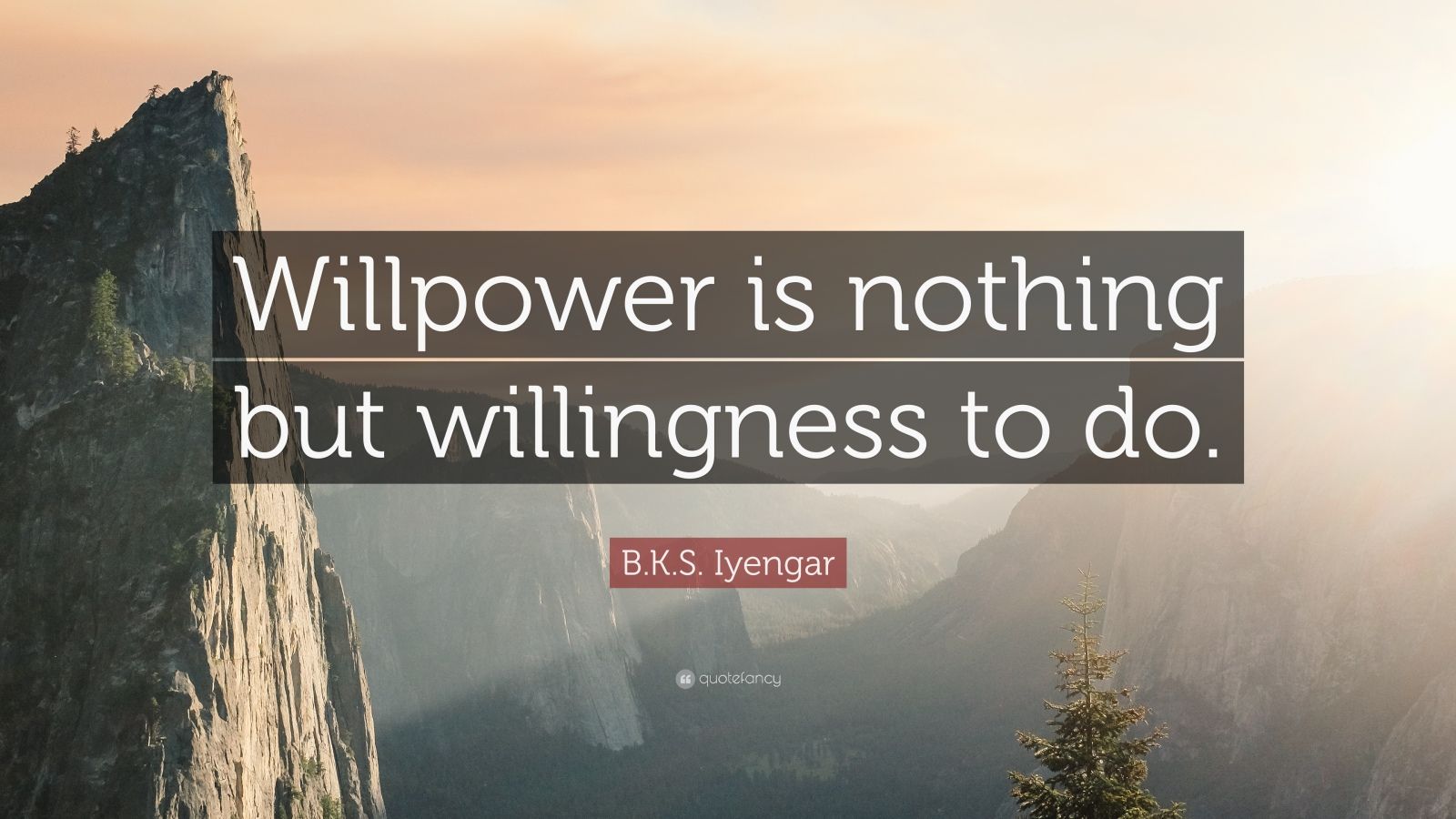 B.K.S. Iyengar Quote: “Willpower Is Nothing But Willingness To Do.”