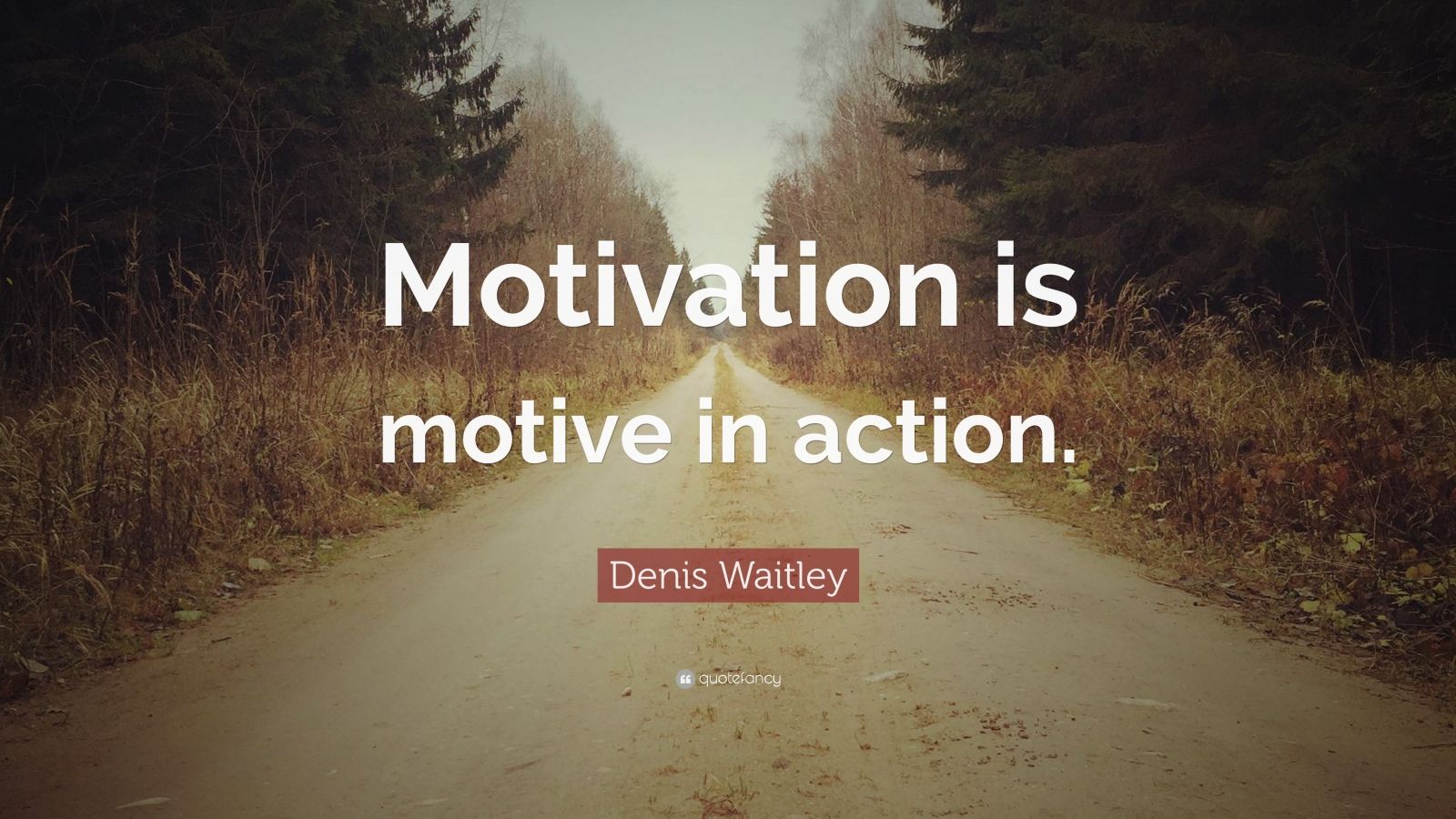 denis-waitley-quote-motivation-is-motive-in-action-12-wallpapers