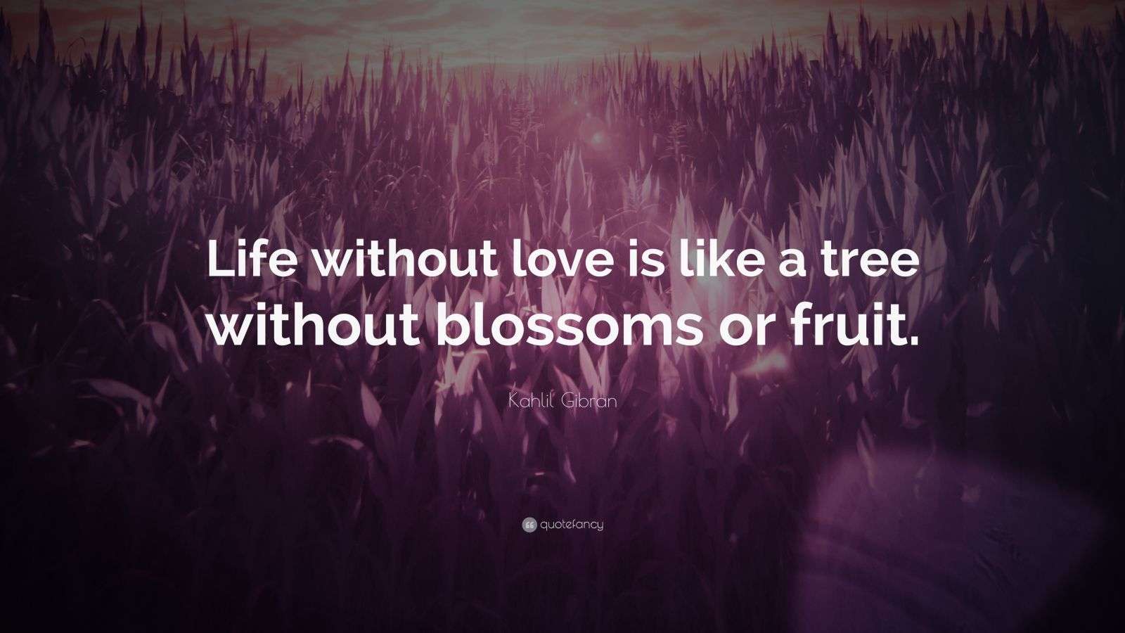 Kahlil Gibran Quote “Life without love is like a tree without blossoms