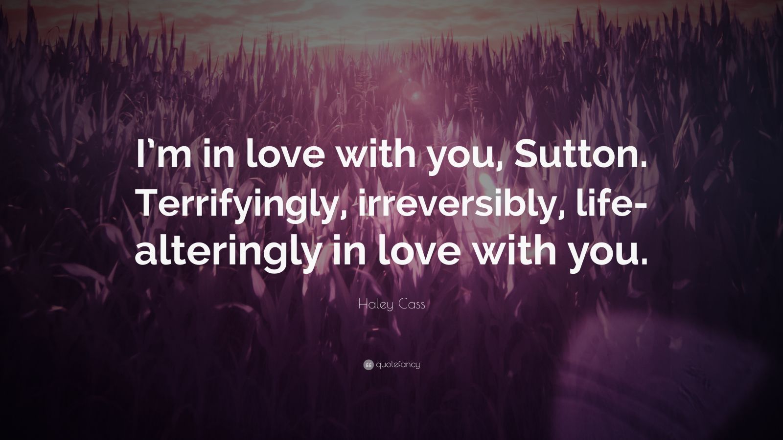 Haley Cass Quote: “I’m in love with you, Sutton. Terrifyingly
