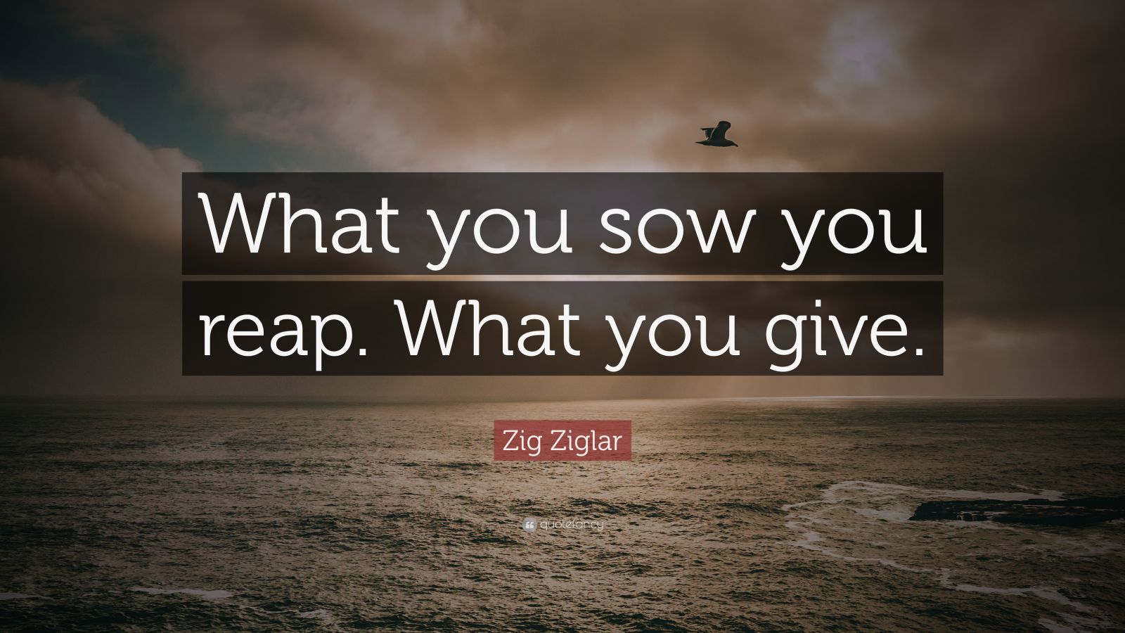 Zig Ziglar Quote: “What you sow you reap. What you give.”