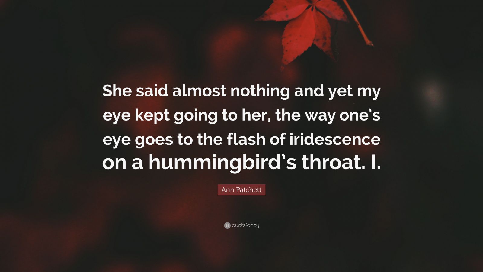 Ann Patchett Quote “she Said Almost Nothing And Yet My Eye Kept Going To Her The Way Ones Eye 2750