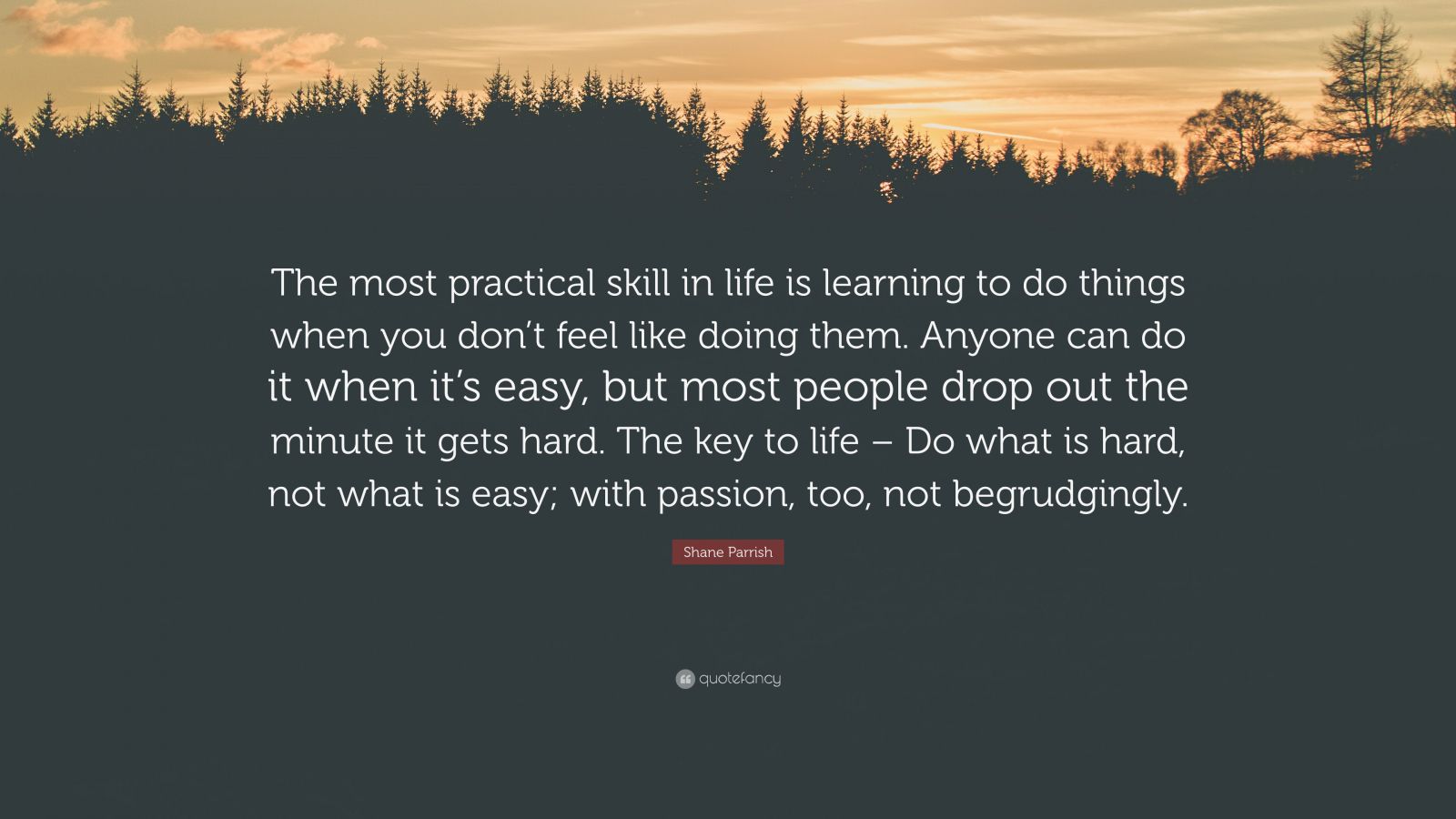 Shane Parrish Quote: “The most practical skill in life is learning to ...
