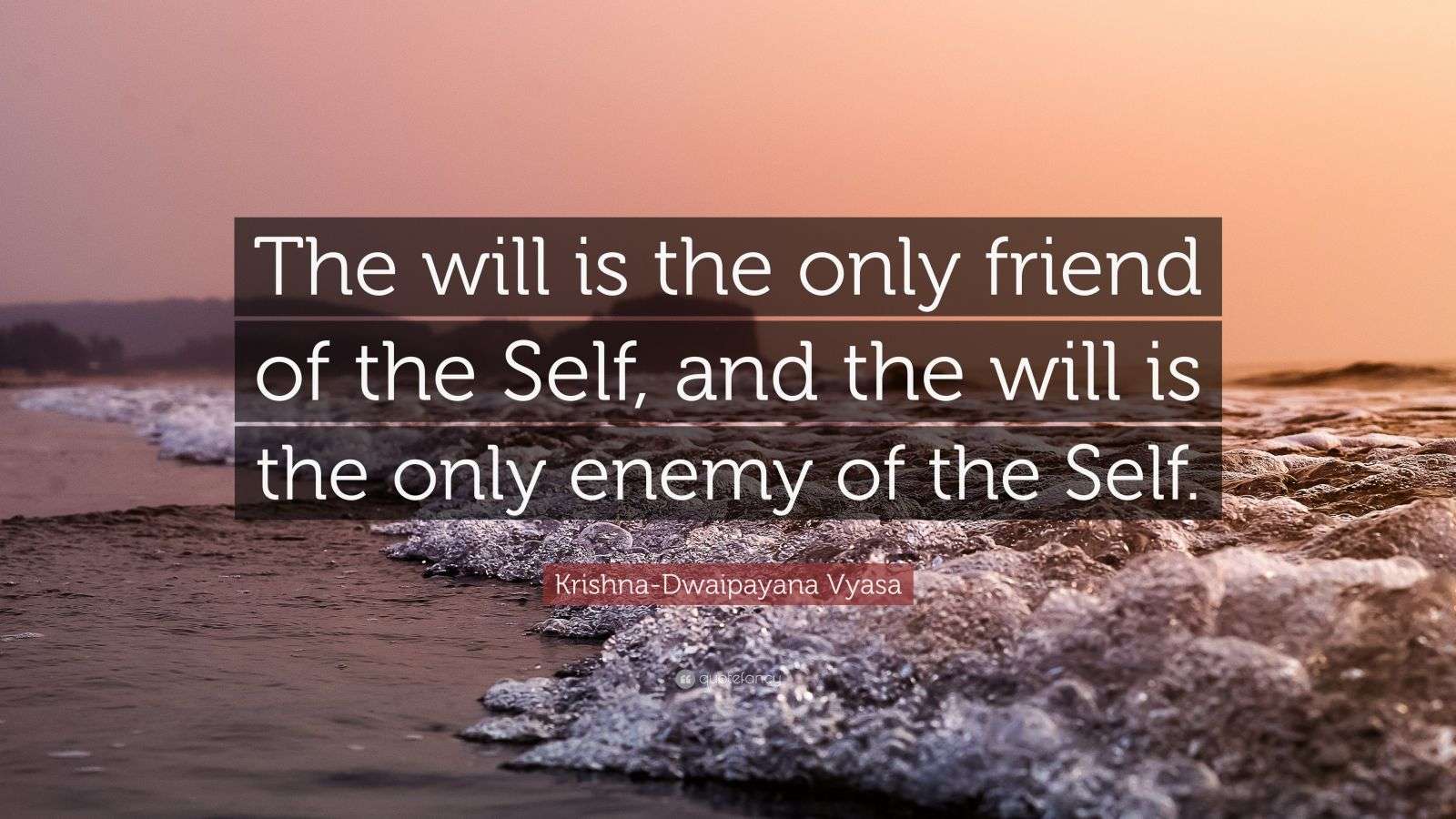 krishna-dwaipayana-vyasa-quote-the-will-is-the-only-friend-of-the