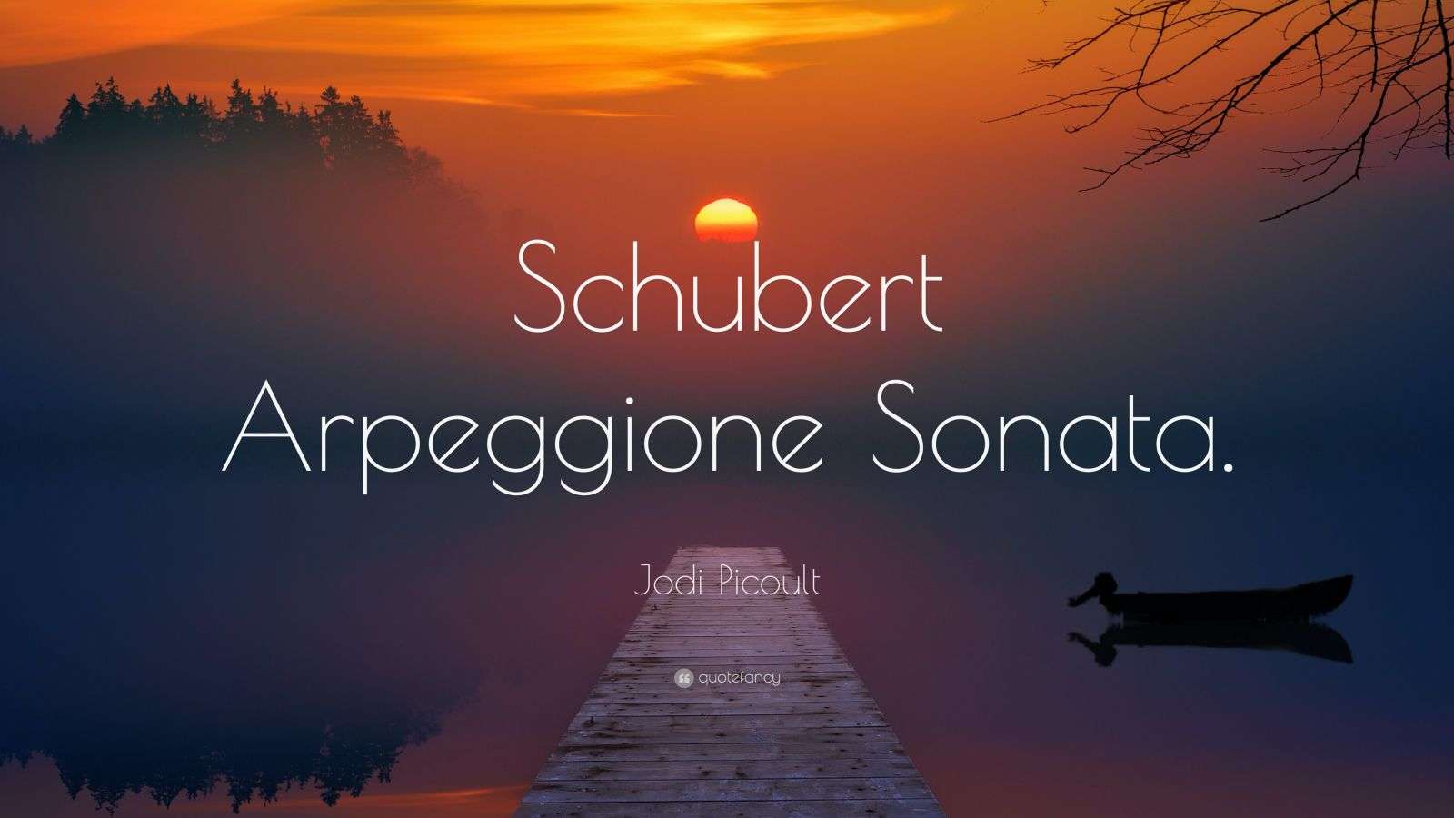 Jodi Picoult Quote: “Schubert Arpeggione Sonata.”
