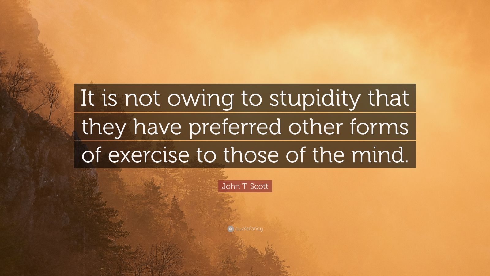 John T. Scott Quote: “It is not owing to stupidity that they have ...