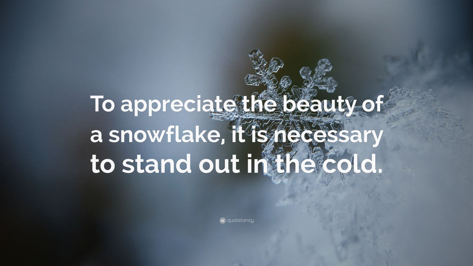 “To appreciate the beauty of a snowflake, it is necessary to stand out ...