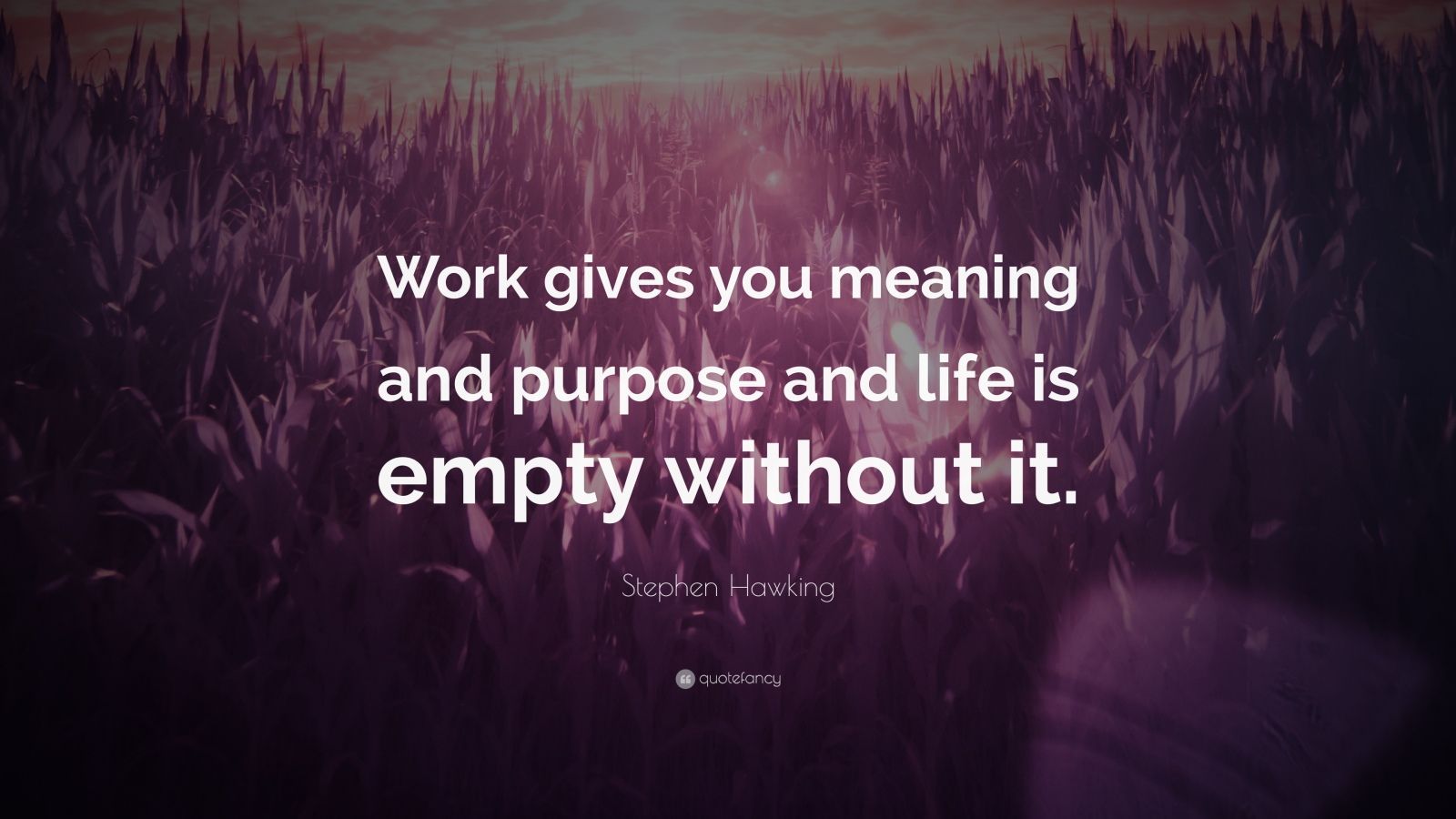 Stephen Hawking Quote: “Work gives you meaning and purpose and life is