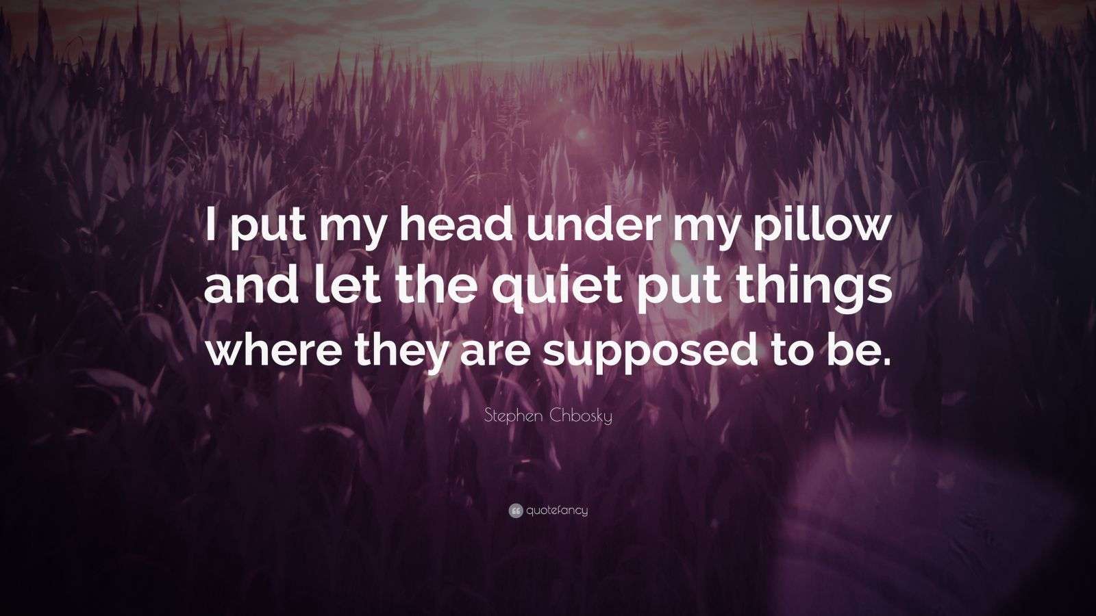 Stephen Chbosky Quote: “I put my head under my pillow and let the quiet