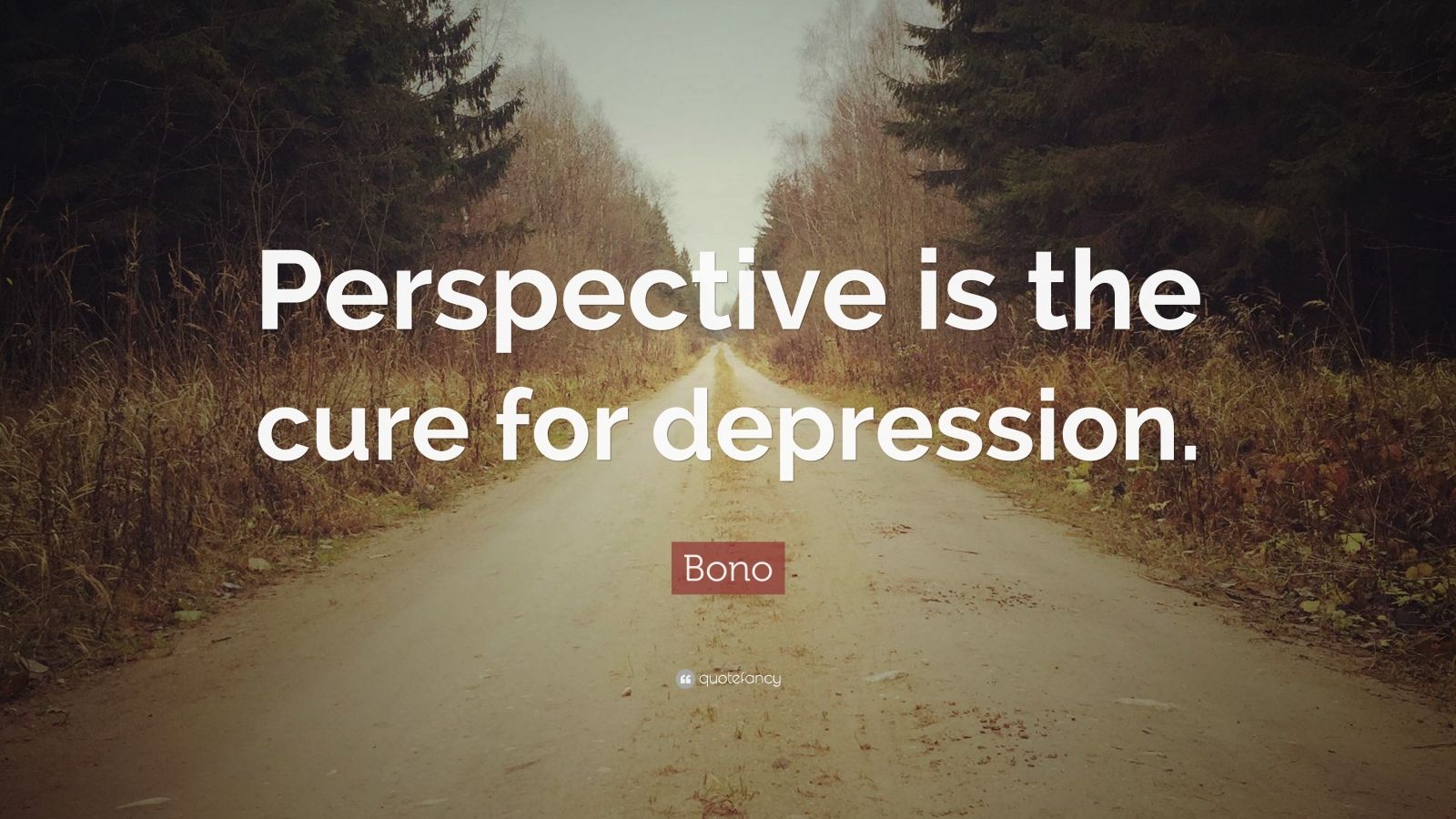 Bono Quote “Perspective is the cure for depression.” (10 wallpapers