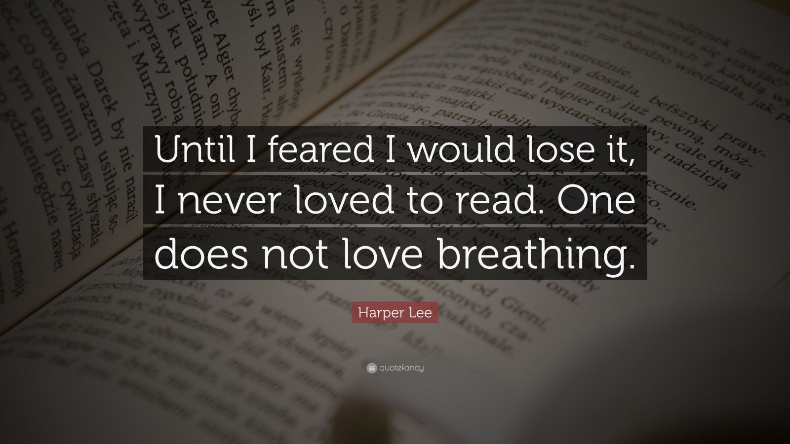 Harper Lee Quote “Until I feared I would lose it I never loved