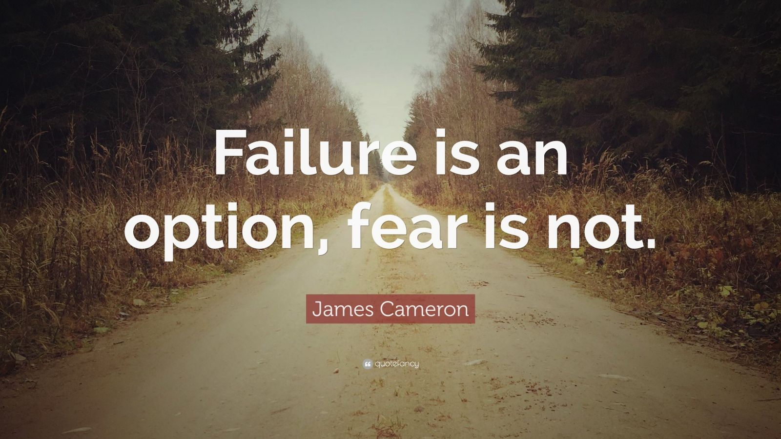 James Cameron Quote: “Failure is an option, fear is not.” (9 wallpapers