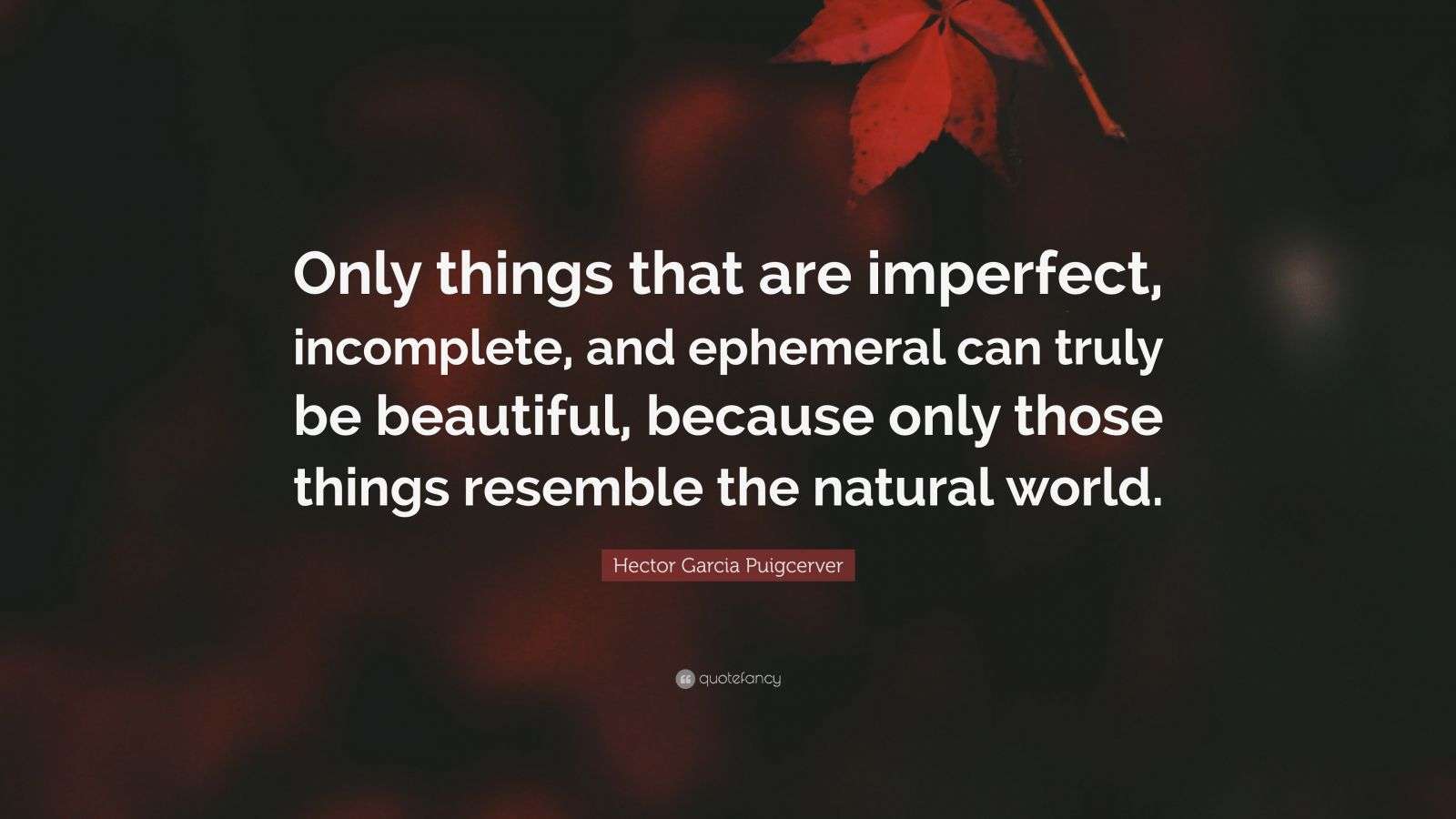 Hector Garcia Puigcerver Quote: “Only things that are imperfect ...