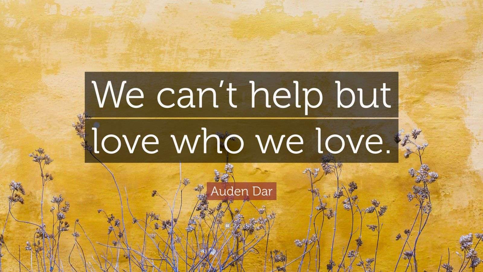 Auden Dar Quote: “We can’t help but love who we love.”