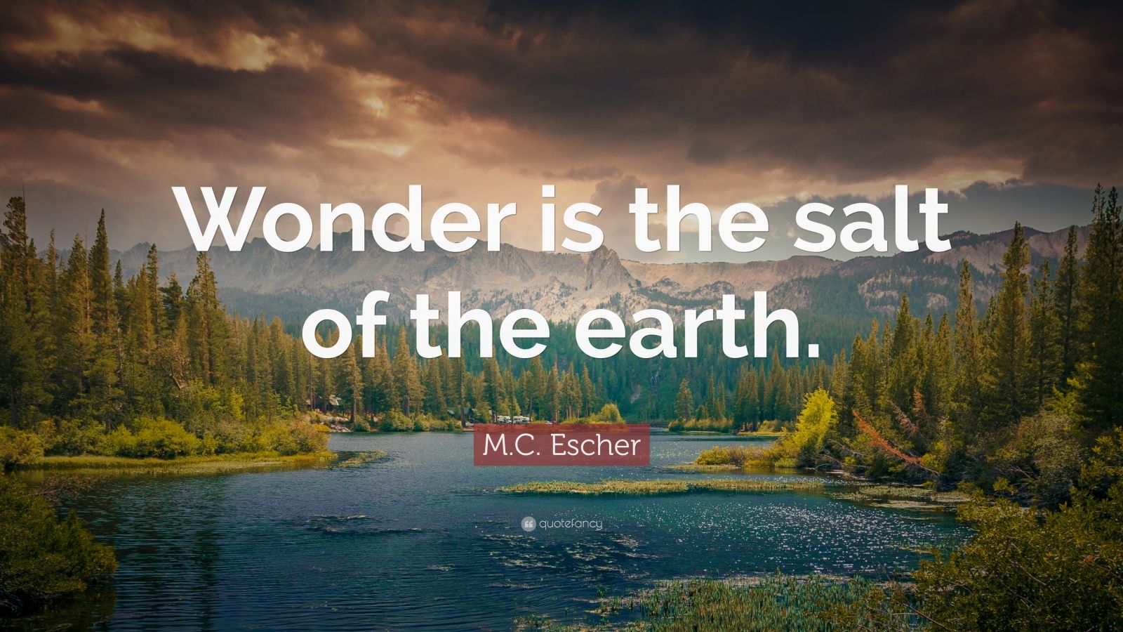 Top 30 M C Escher Quotes 2021 Edition Free Images QuoteFancy   911441 M C Escher Quote Wonder Is The Salt Of The Earth 