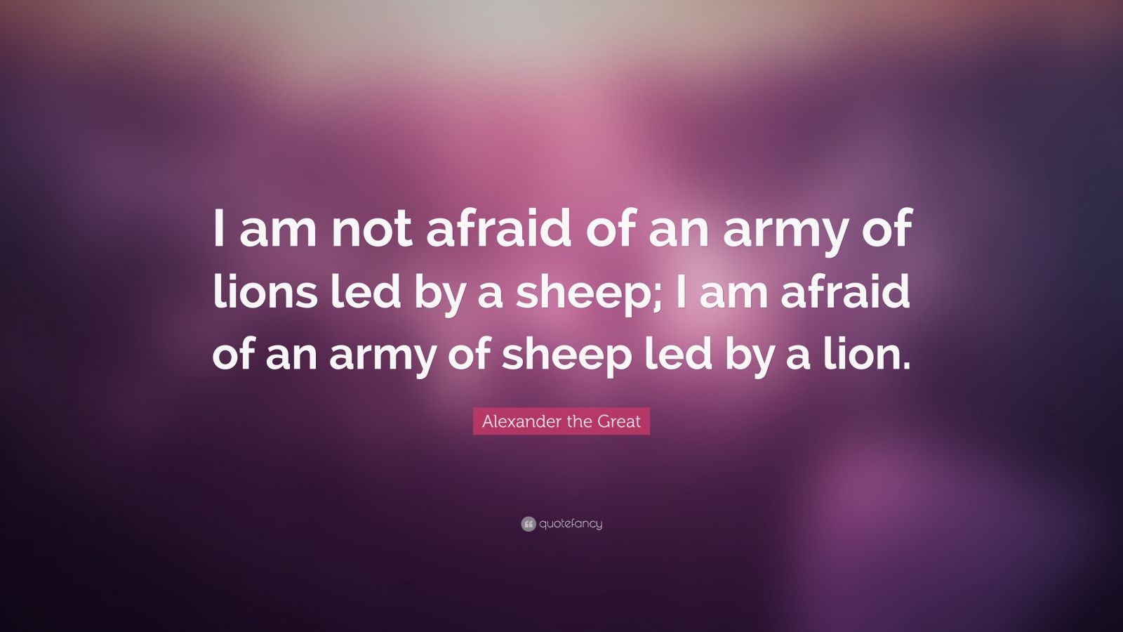 Alexander the Great Quote: “I am not afraid of an army of lions led by ...