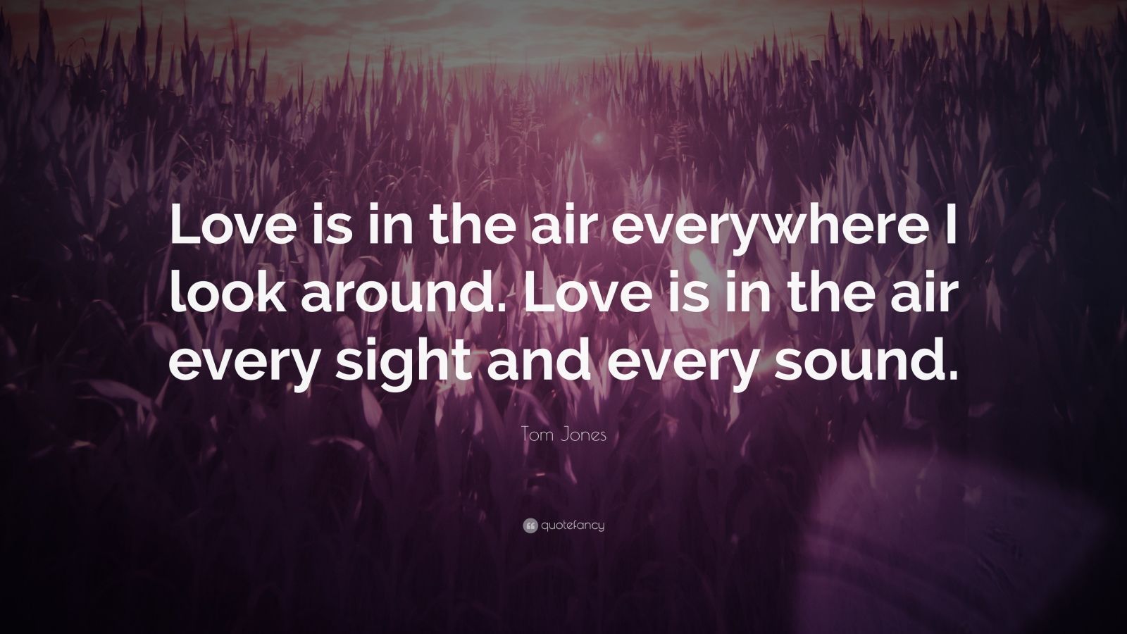 Love is in the Air — Everywhere You Look Around — World of