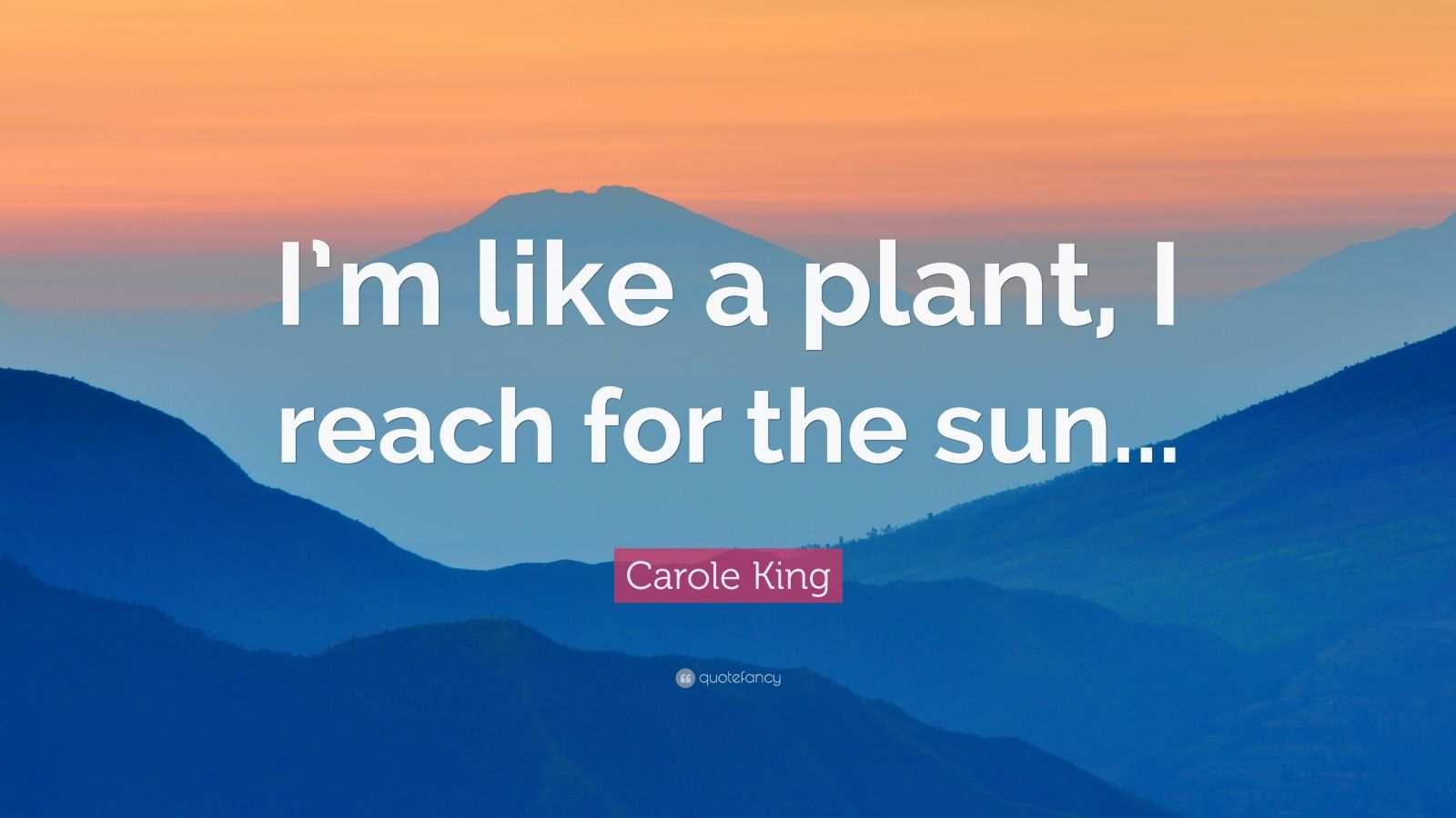 Carole King Quote “I’m like a plant, I reach for the sun...”
